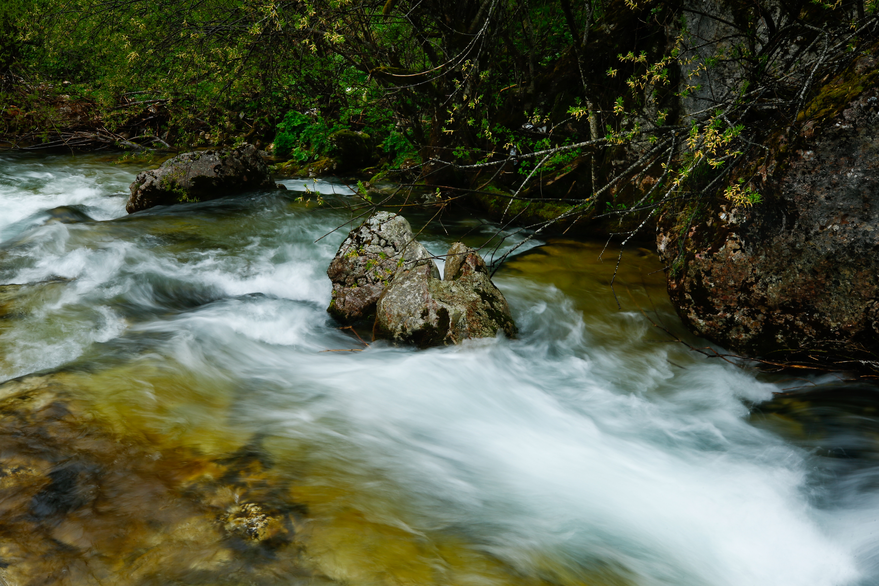 20200517_2_42481102_55003182