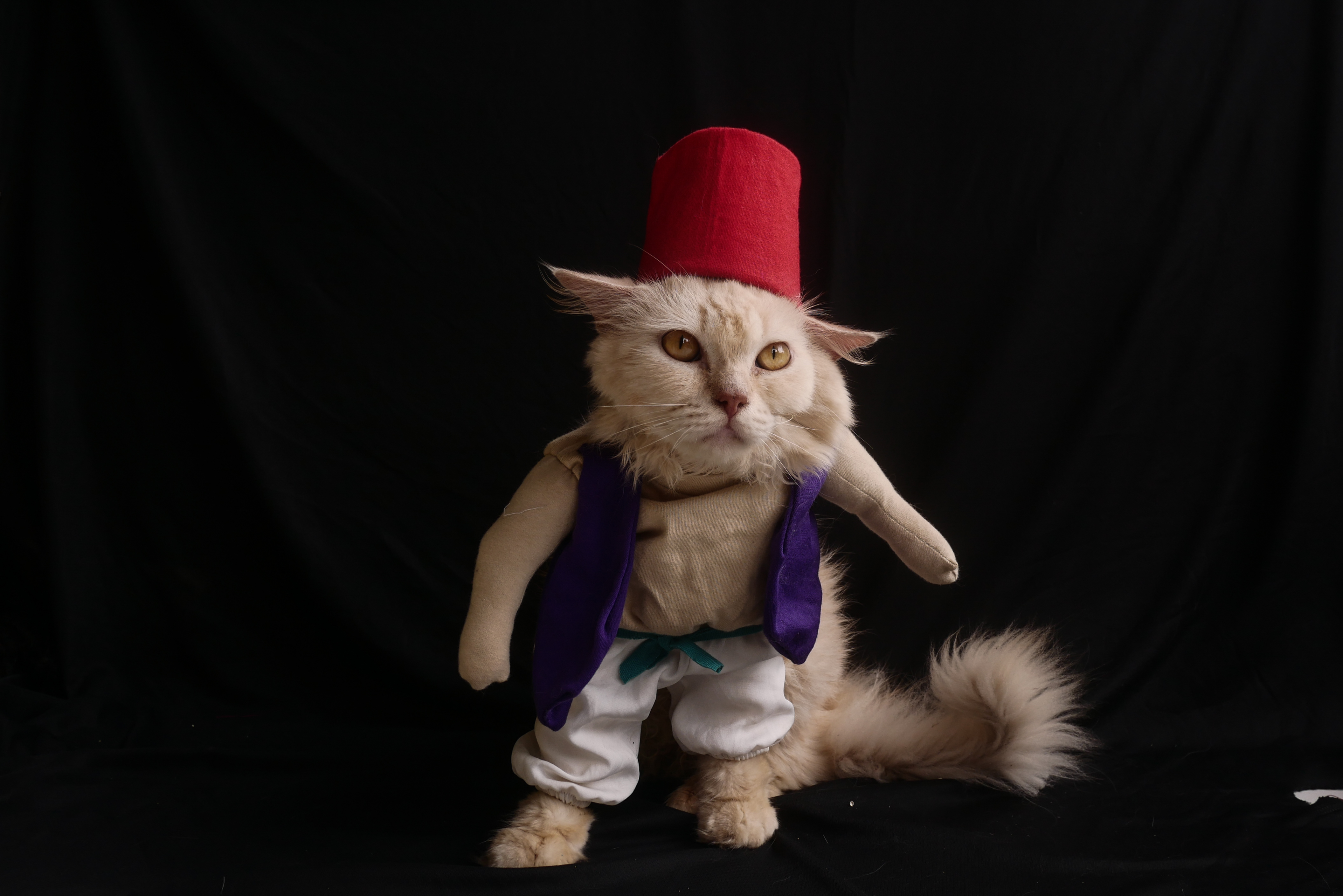 ANADOLIJA/Anton Raharjo