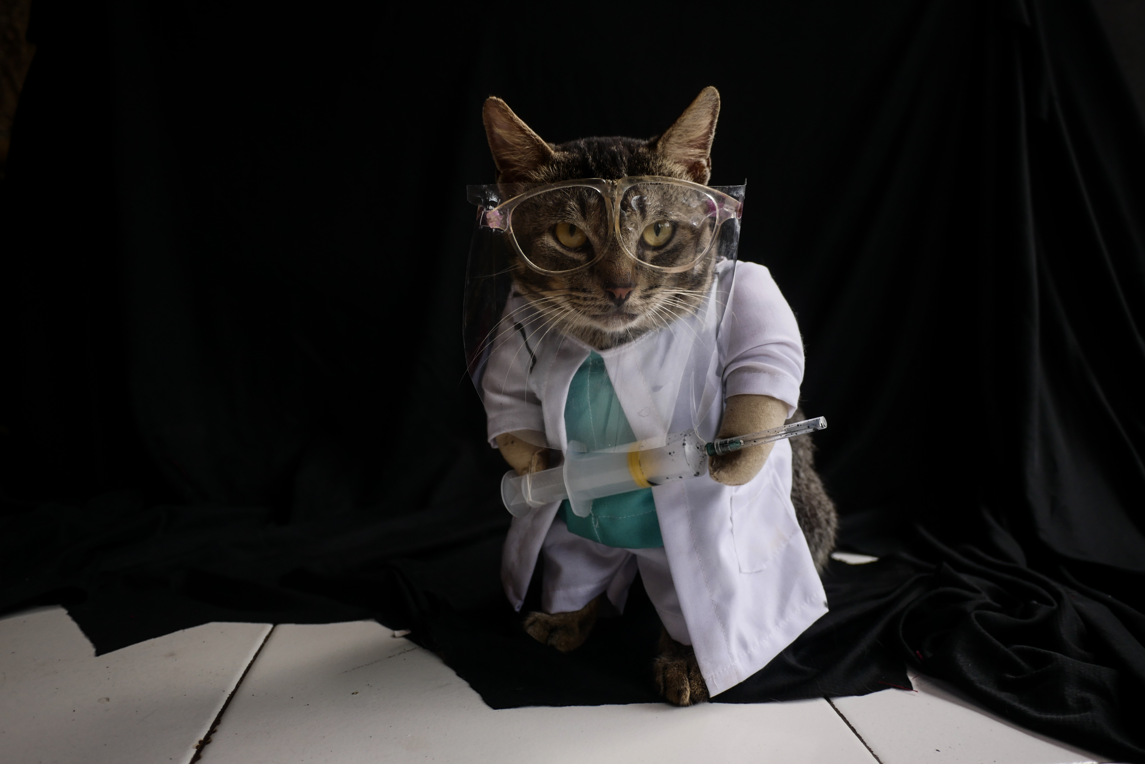 20201204_2_45694211_60326743