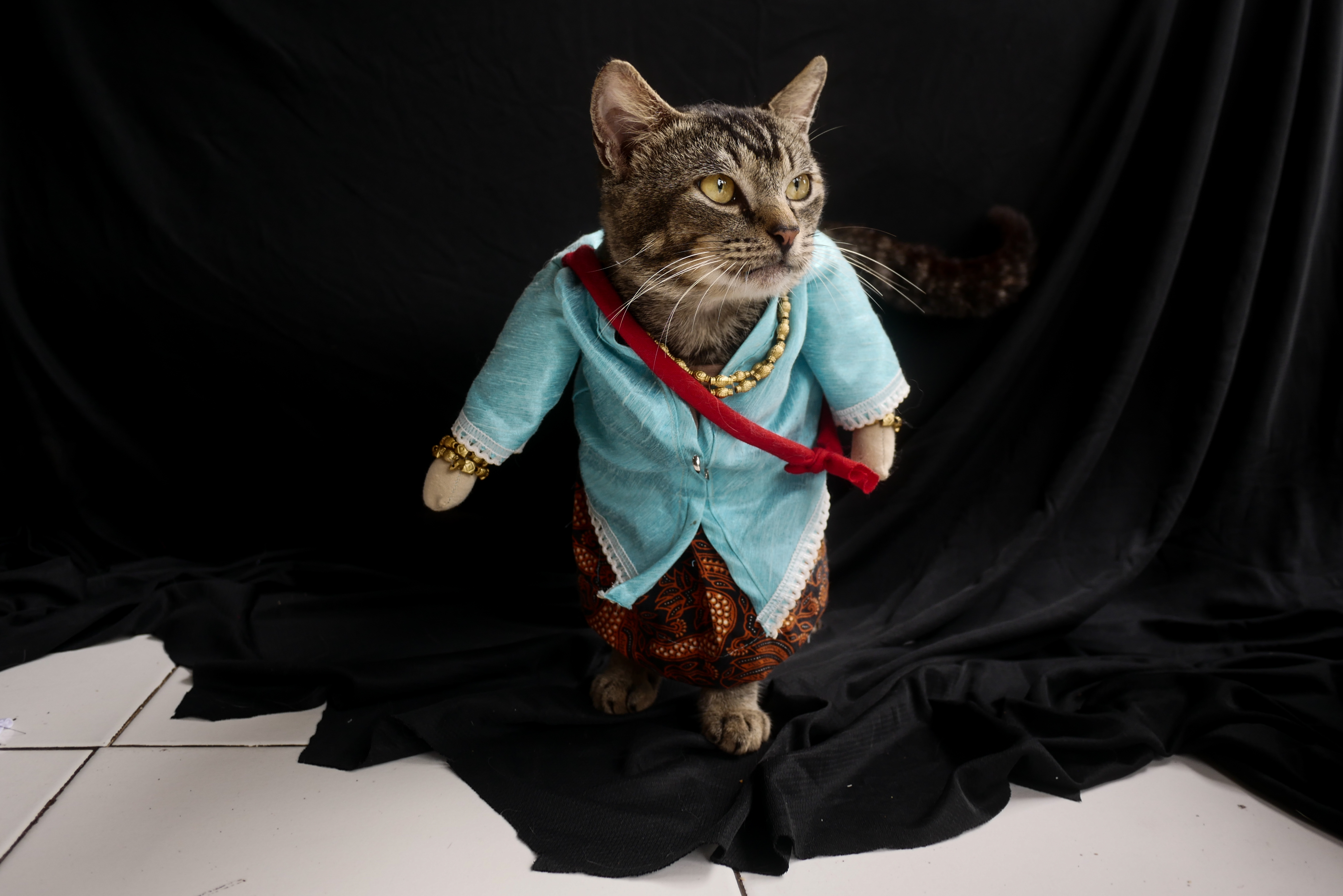 20201204_2_45694211_60326744