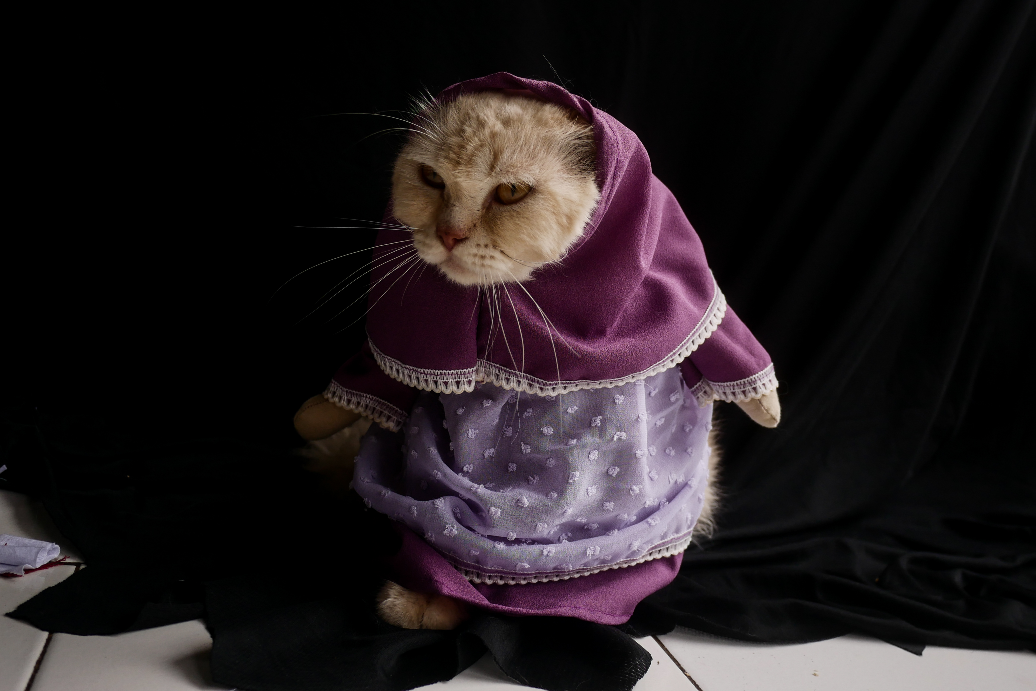 ANADOLIJA/Anton Raharjo