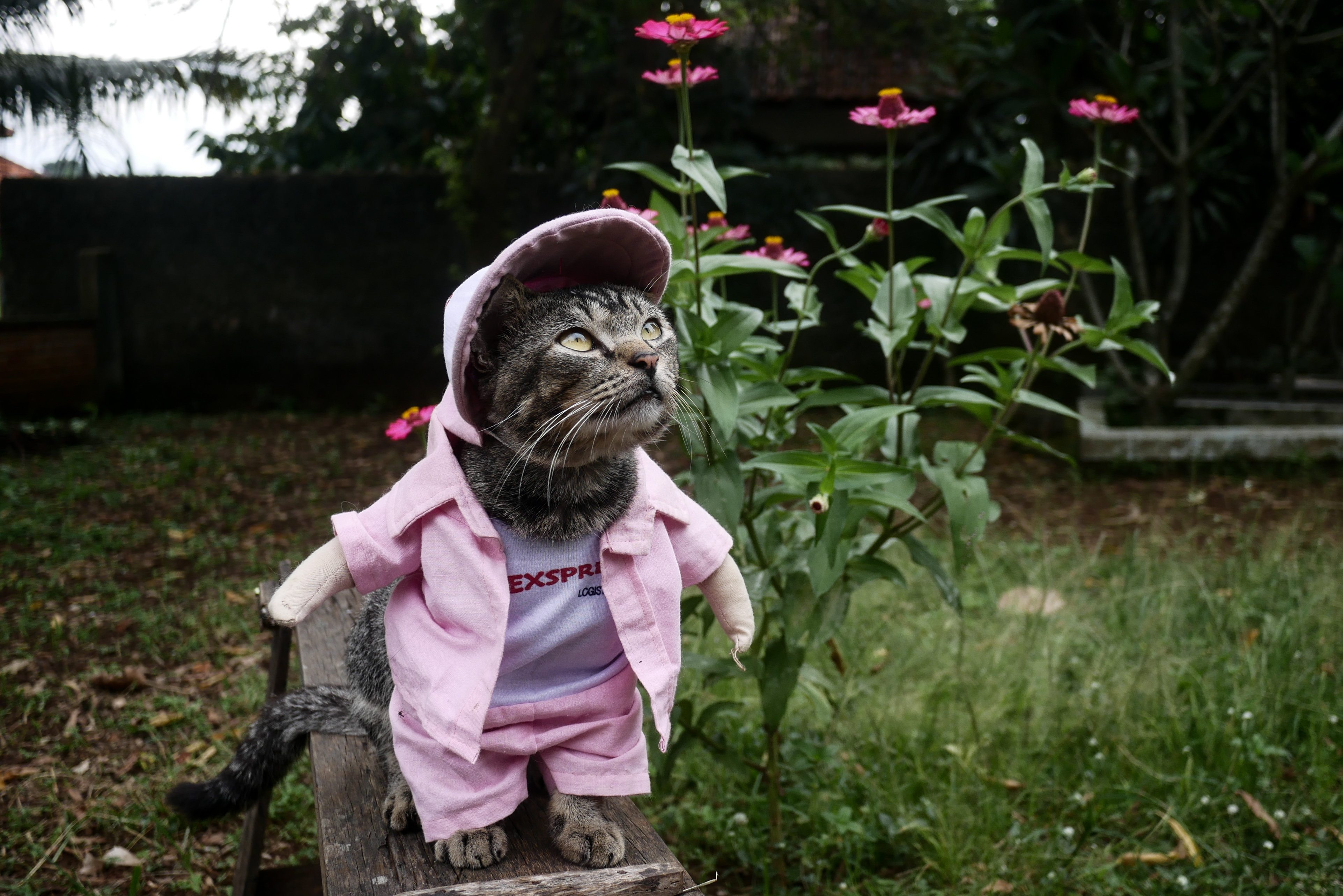 ANADOLIJA/Anton Raharjo