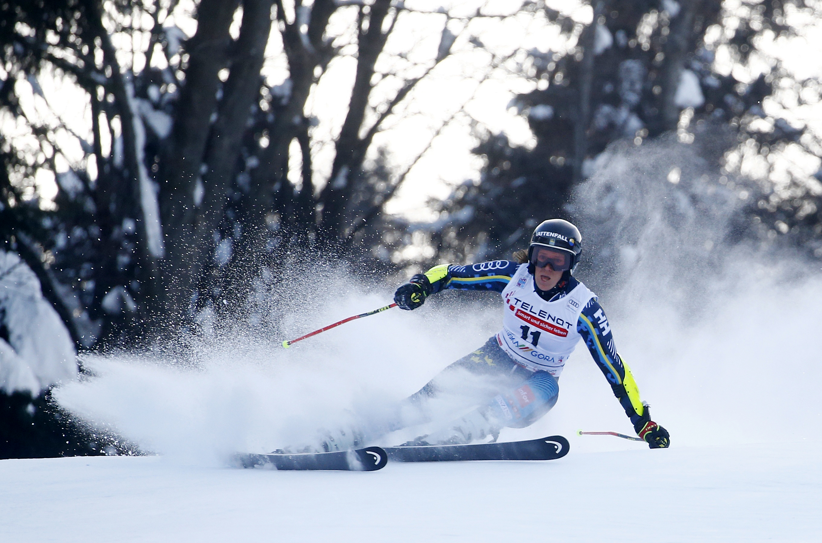 Kranjska Gora, skijanje