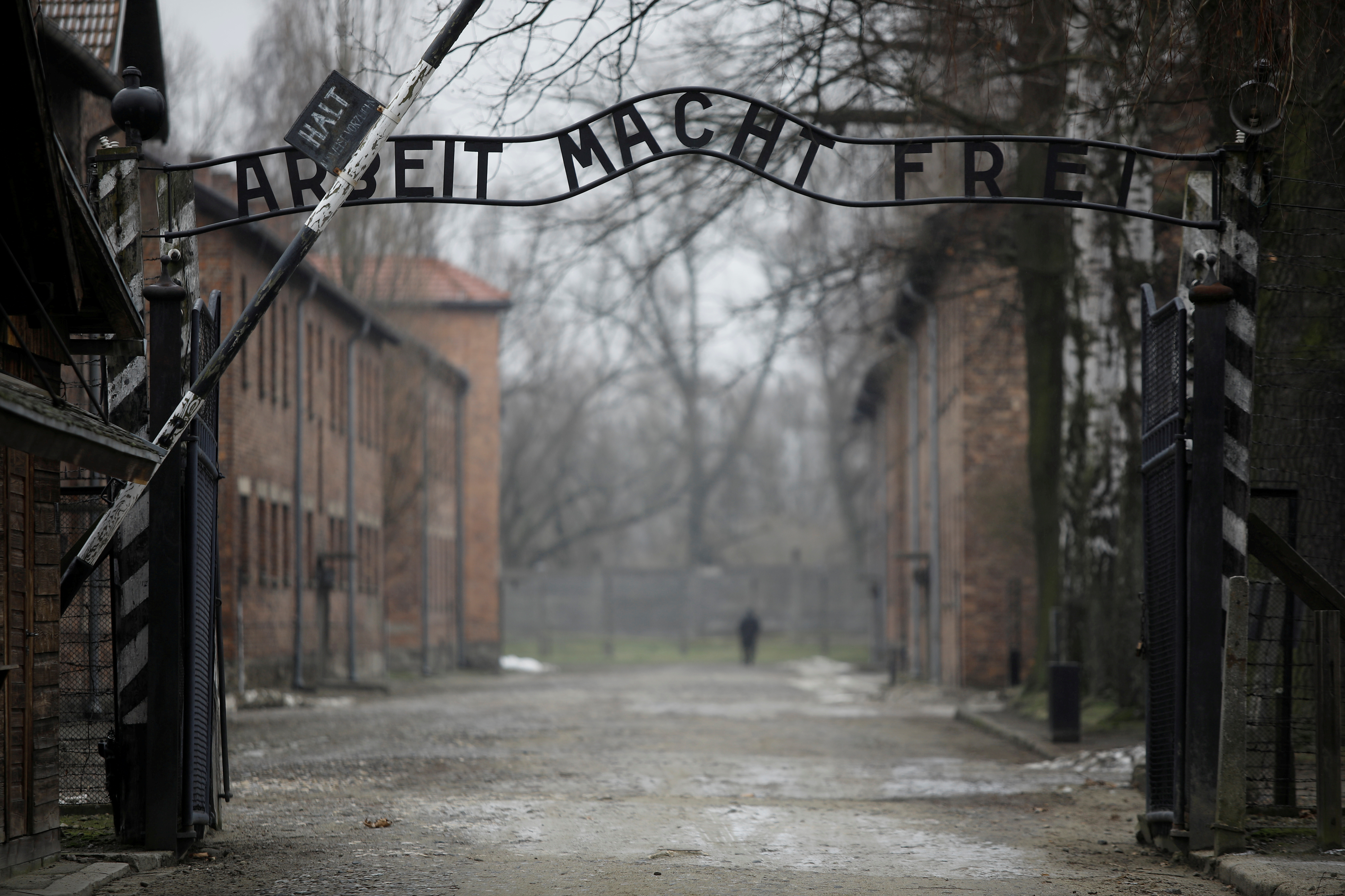 nacisti 76th Auschwitz liberation commemoration held virtually amidst COVID pandemic
