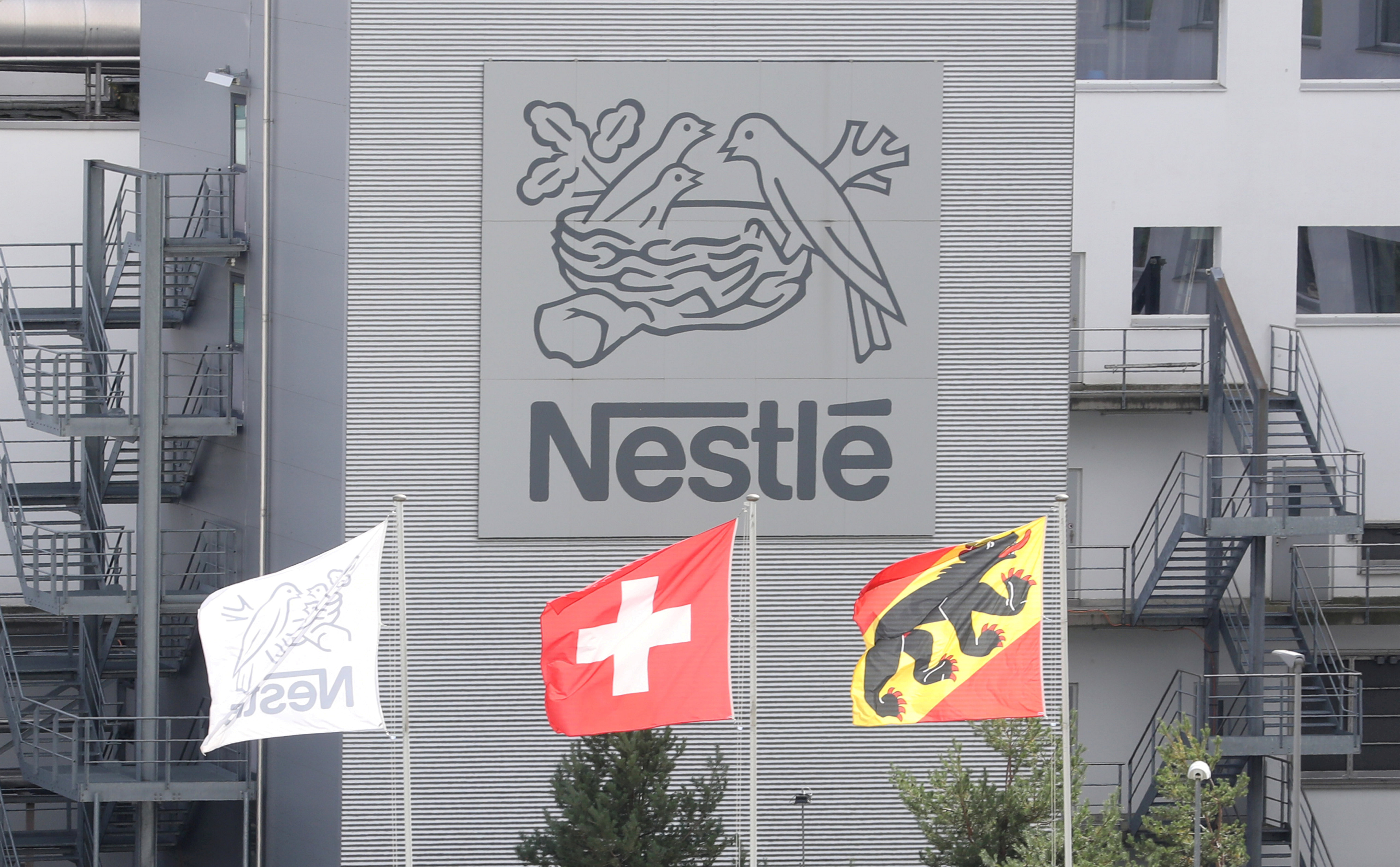 nestle, FILE PHOTO: Swiss national flag flies beside a flag of the canton of Bern in front of the logo of Nestle in Konolfingen