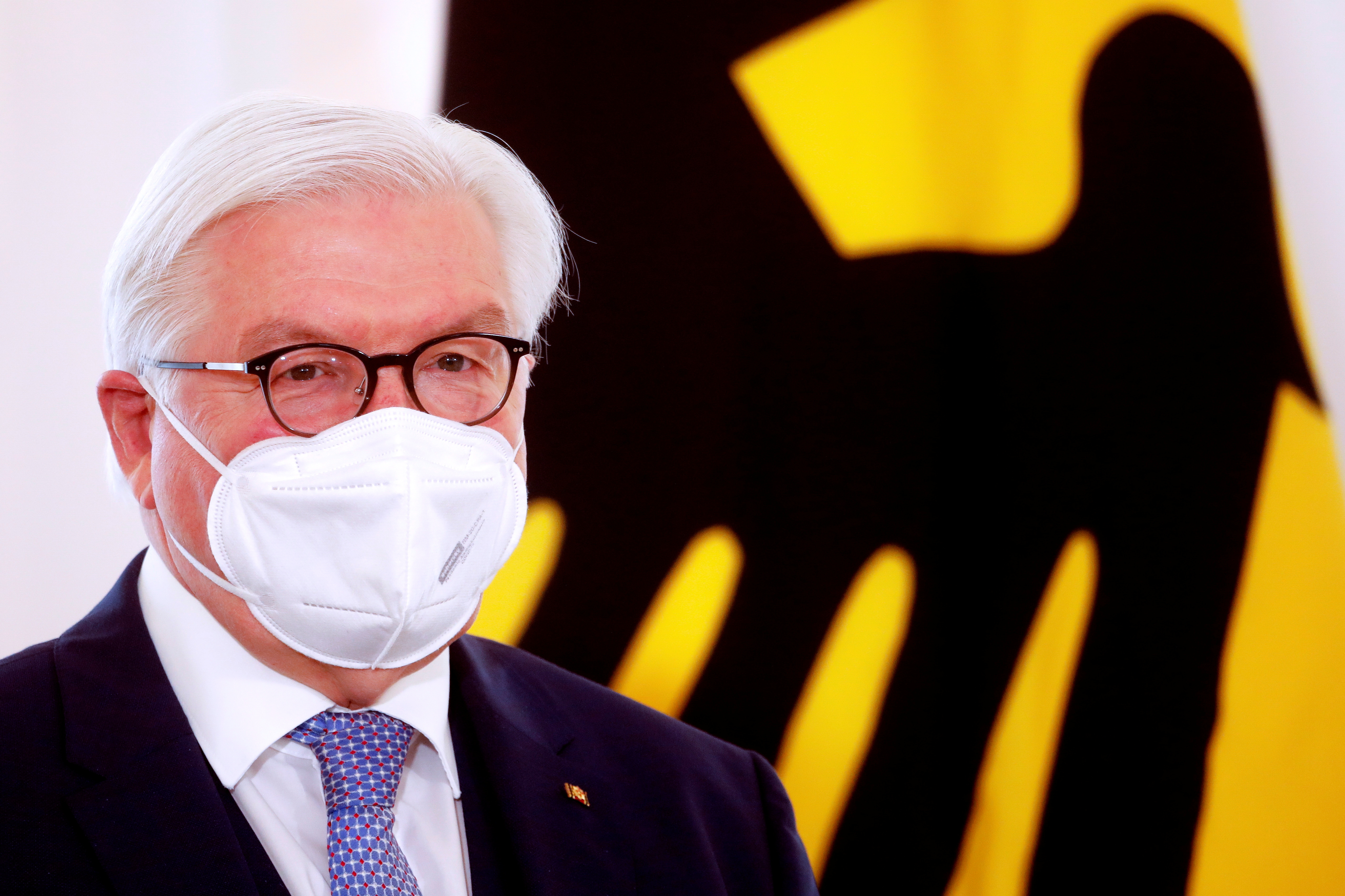 Frank Walter Steinmeier, njemačka