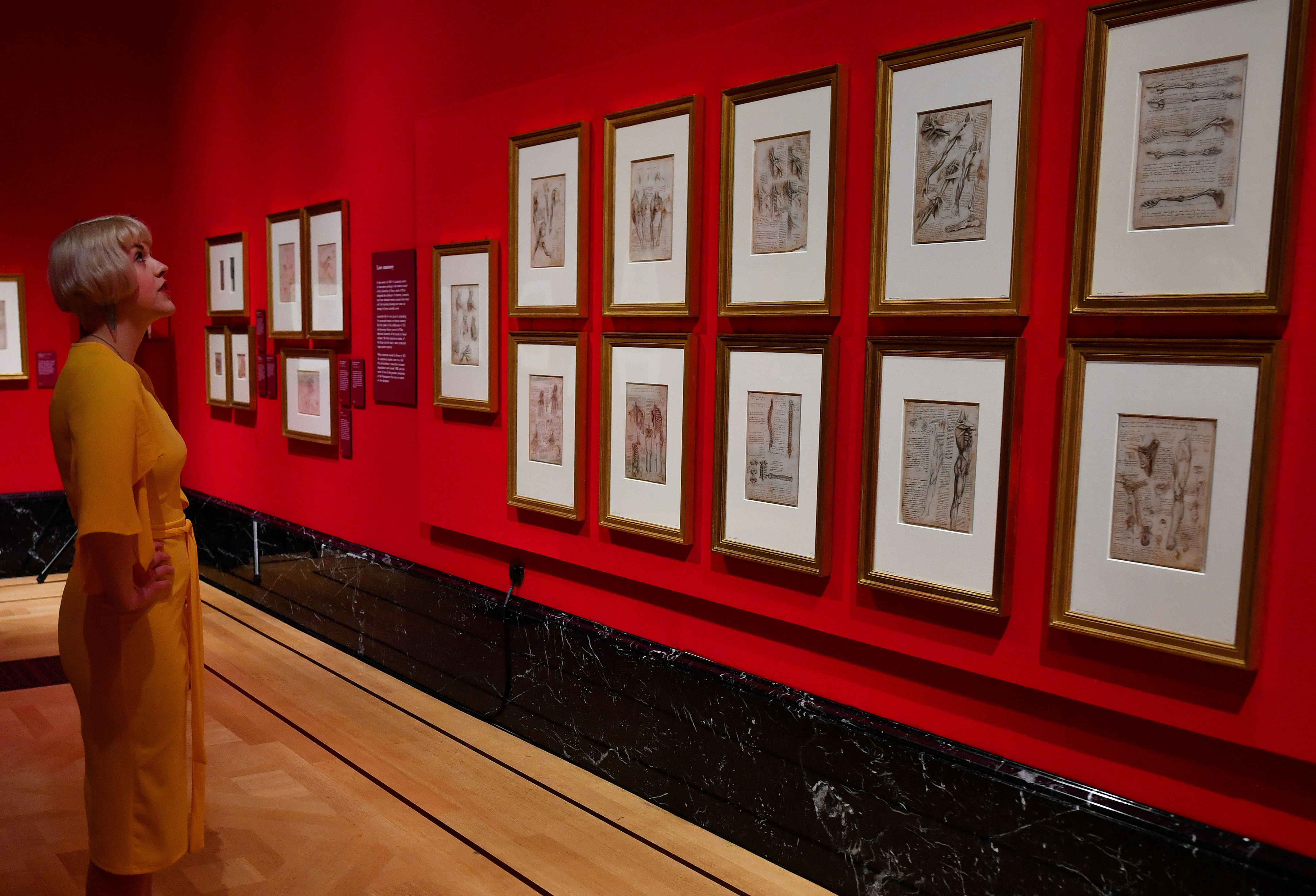 Royal Collection Trust staff pose beside some of Leonardo Da Vinci's anatomical studies at A Life in Drawing in London