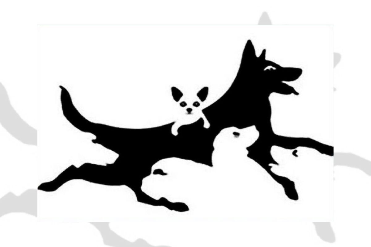 1759404837_Untitled_design_10