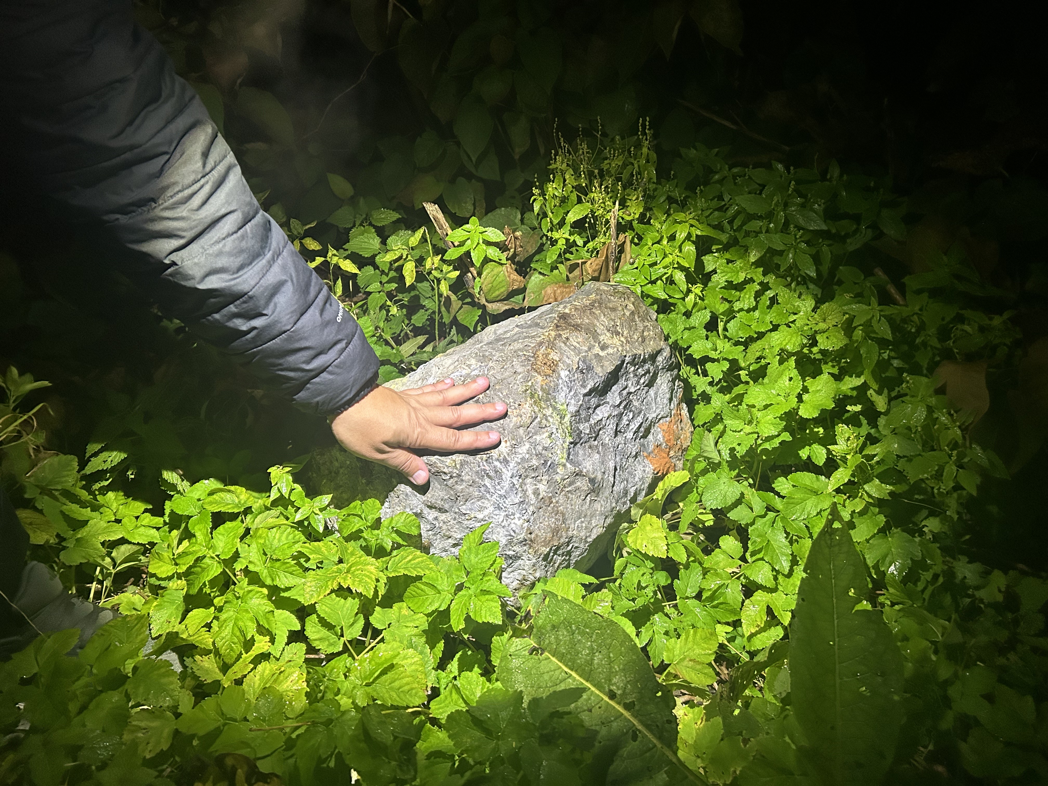 1759985134_SZ_vandalizem_3