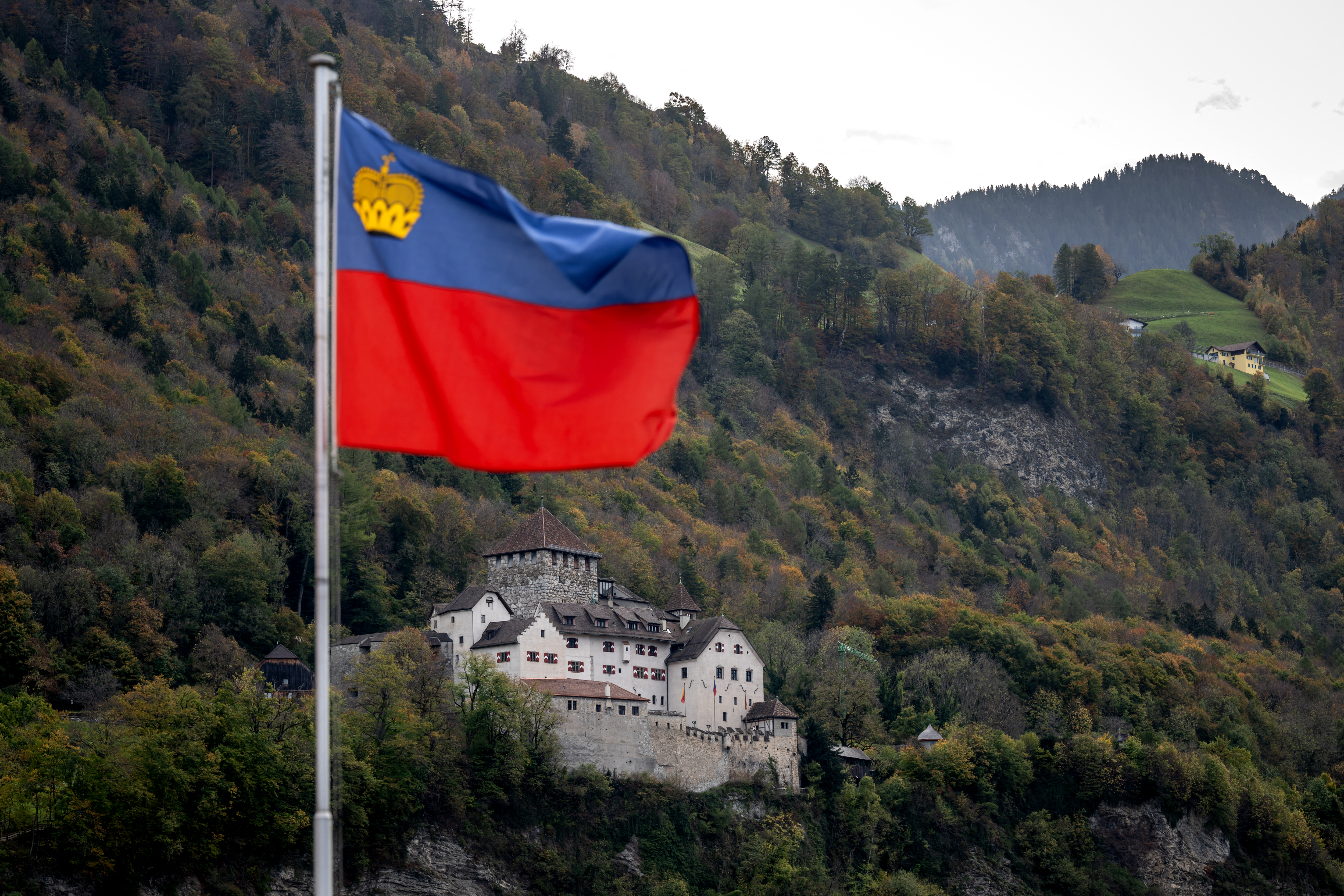 A picture taken on October 28, 2022 shows the flag of Liechtenstein floating next to Vaduz Castle, the palace and official residence of the Prince of Liechtenstein above Vaduz. (Photo by Fabrice COFFRINI / AFP)