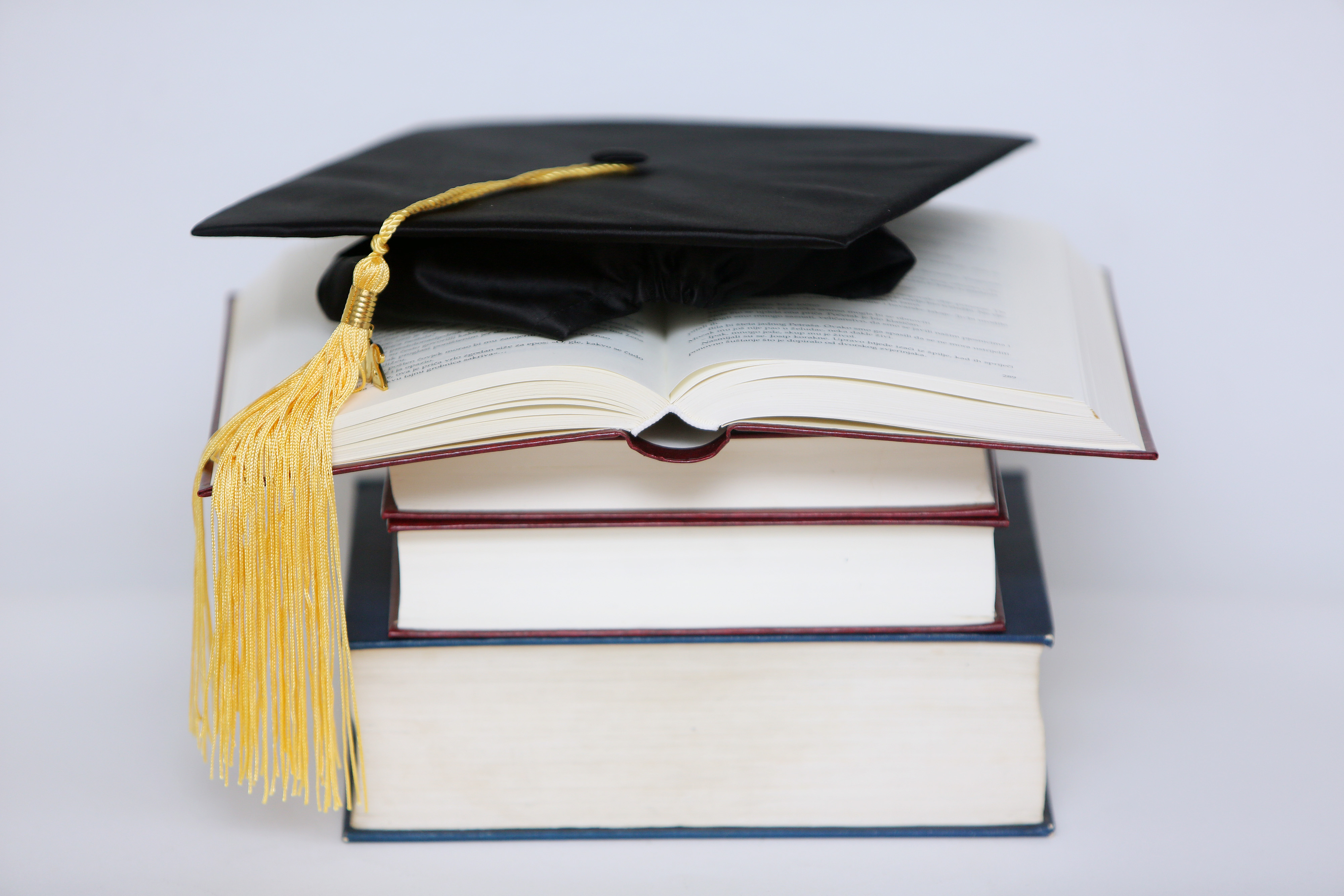 Ilustracija za stipendije 28.01.2019., Karlovac - Stipendije.rPhoto: Kristina Stedul Fabac/PIXSELL