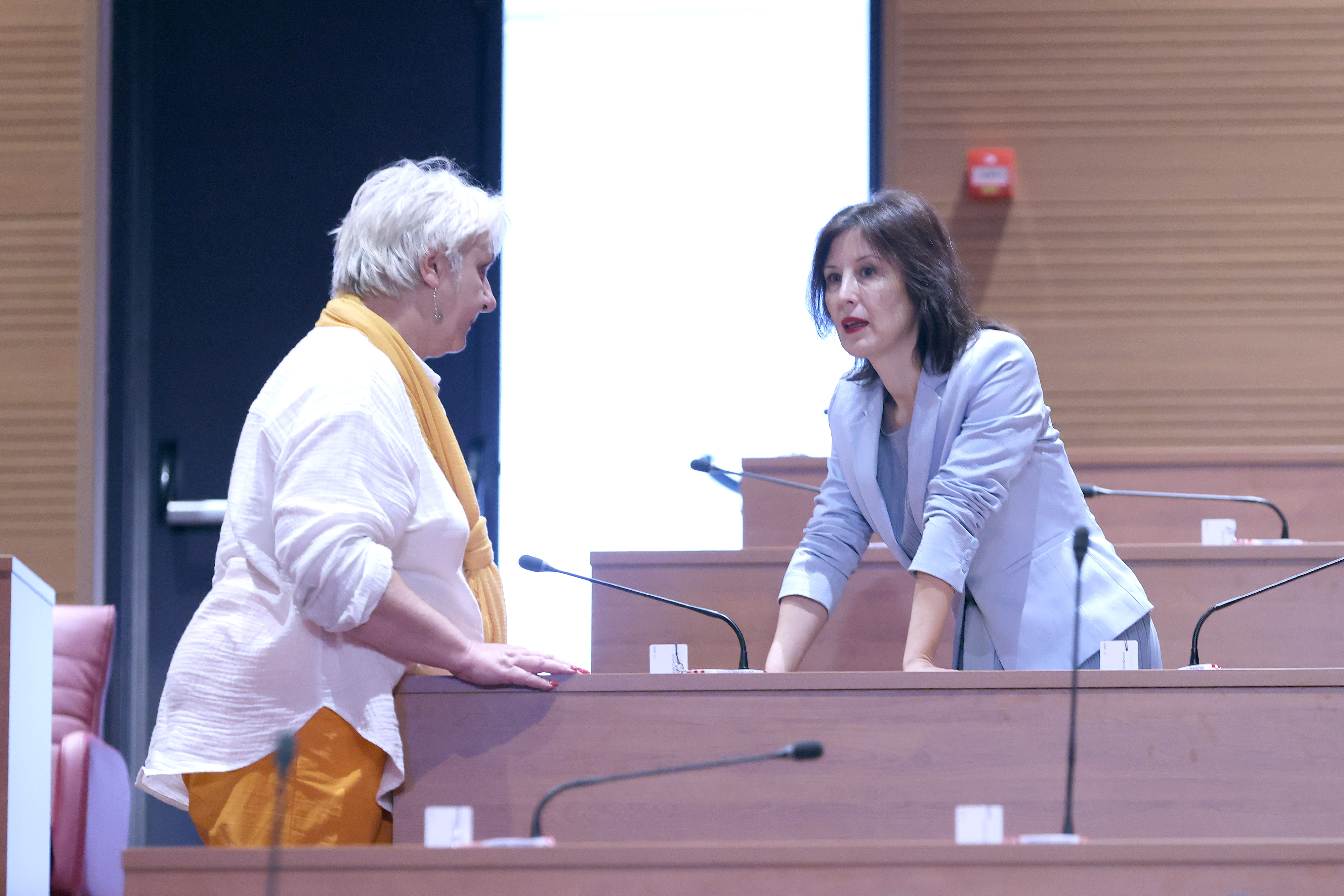 Hrvatski sabor, Dalija Orešković