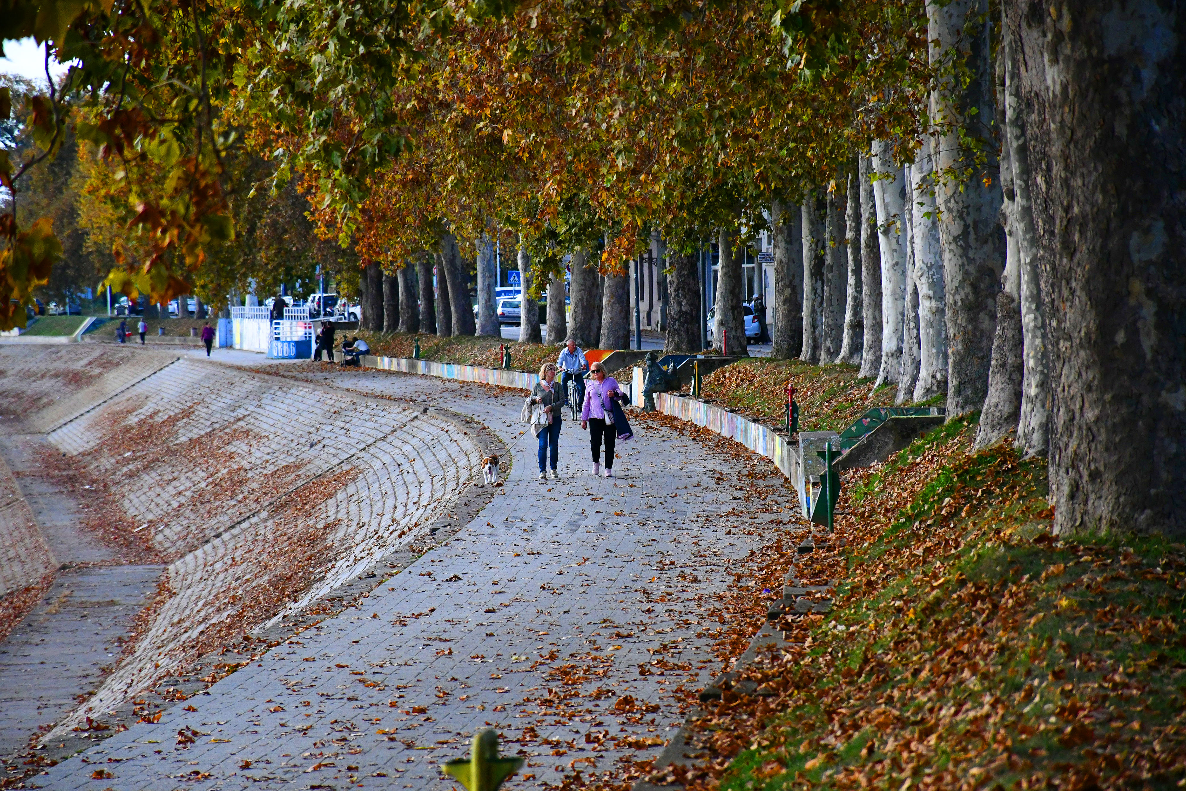 21.10.2025., Slavonski Brod - Jesenje sarenilo boja na gradskim ulicama i parkovima. Photo: Ivica Galovic/PIXSELL