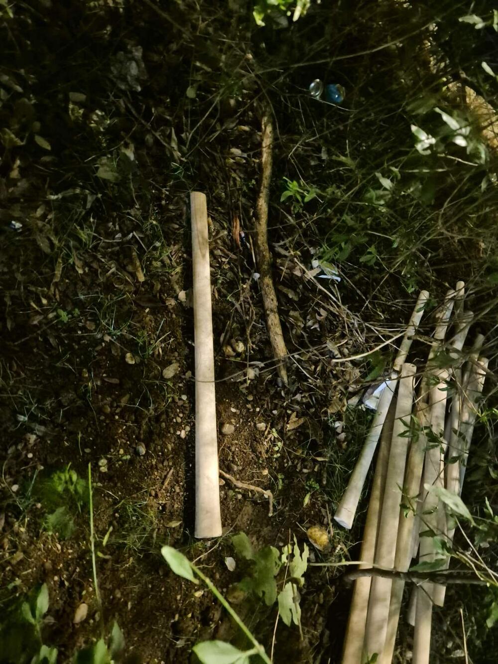 5681173_bejzbol-palice-3_ff