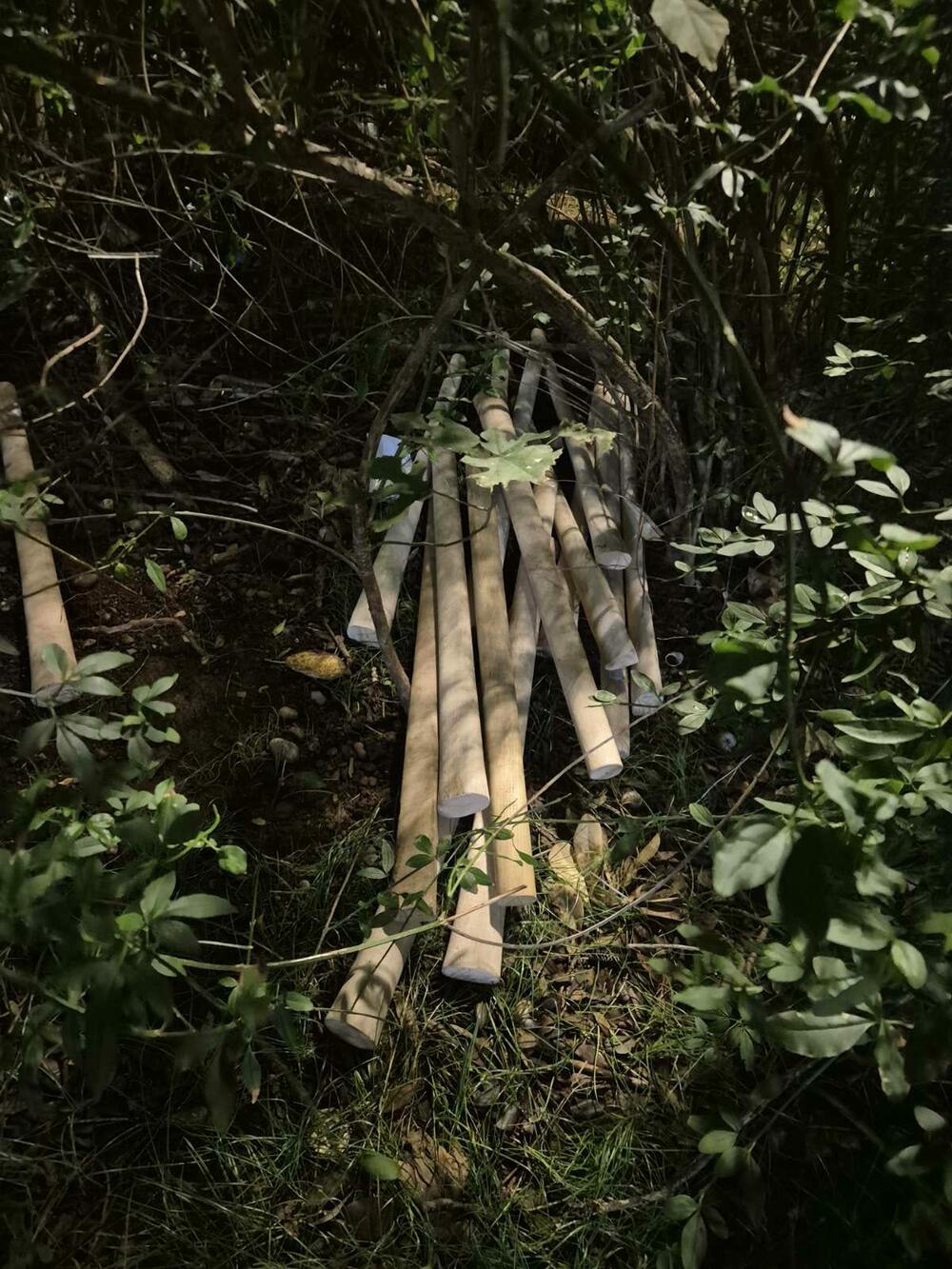 5681175_bejzbol-palice-2_ff