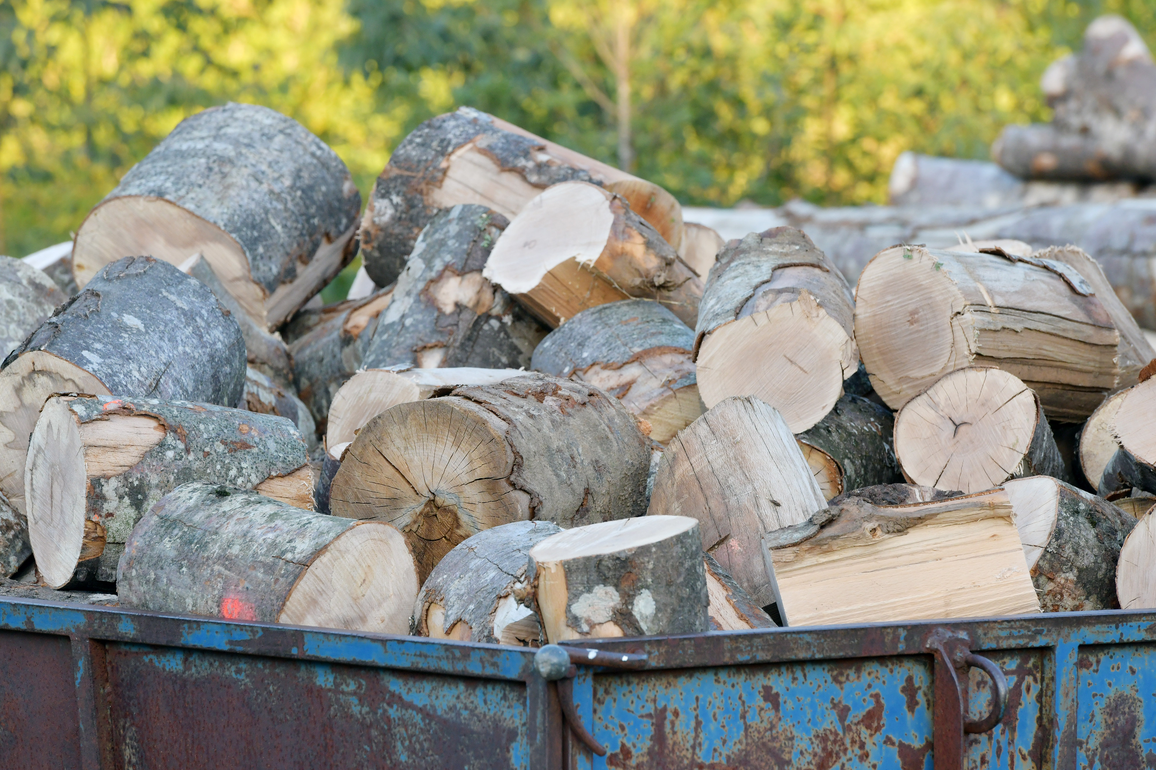 27.09.2025., Sibenik - Drva za ogrjev. Photo: Hrvoje Jelavic/PIXSELL