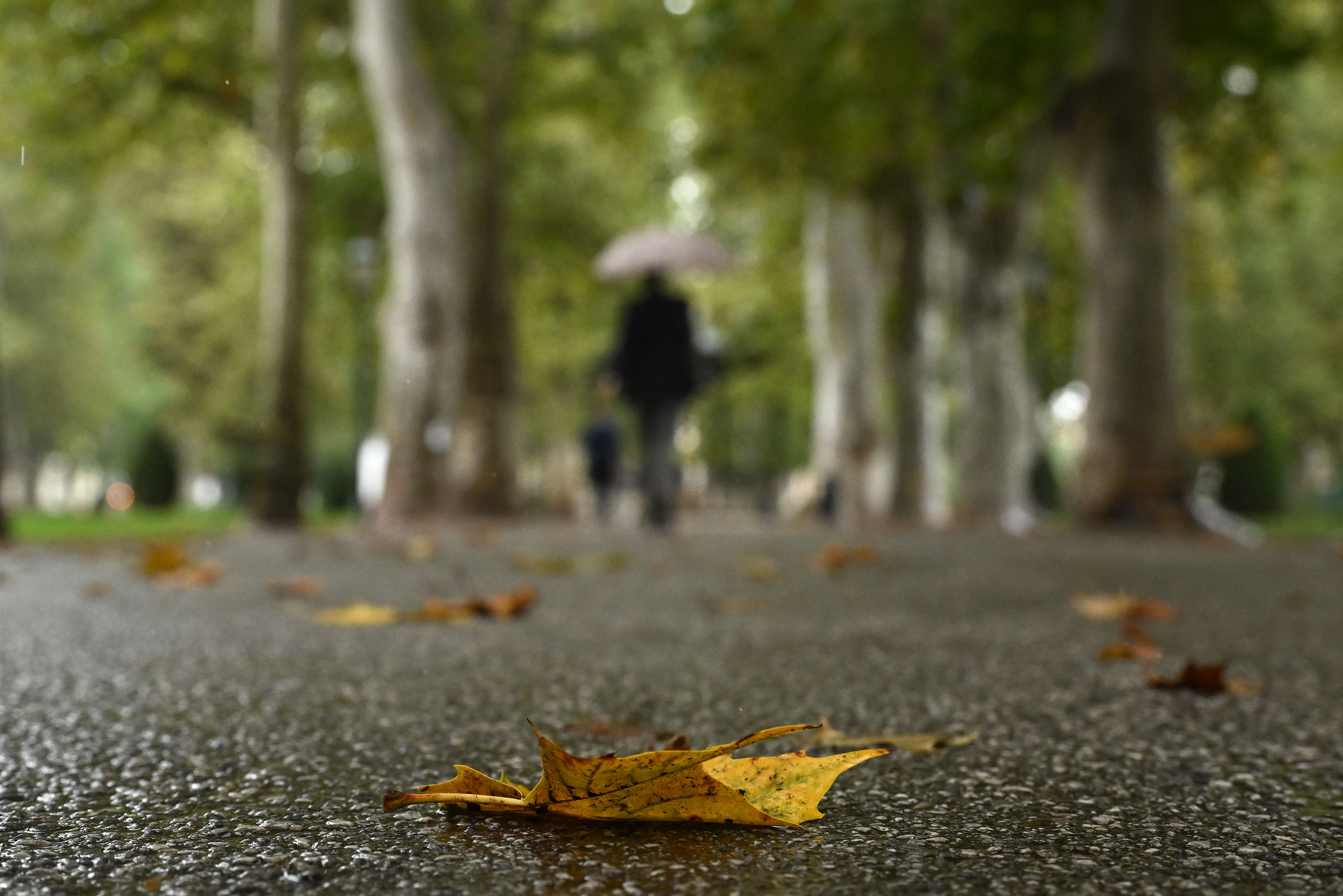 24.09.2025., Zagreb - Kisni jesenski dan u gradu.  Photo: Marko Lukunic/PIXSELL