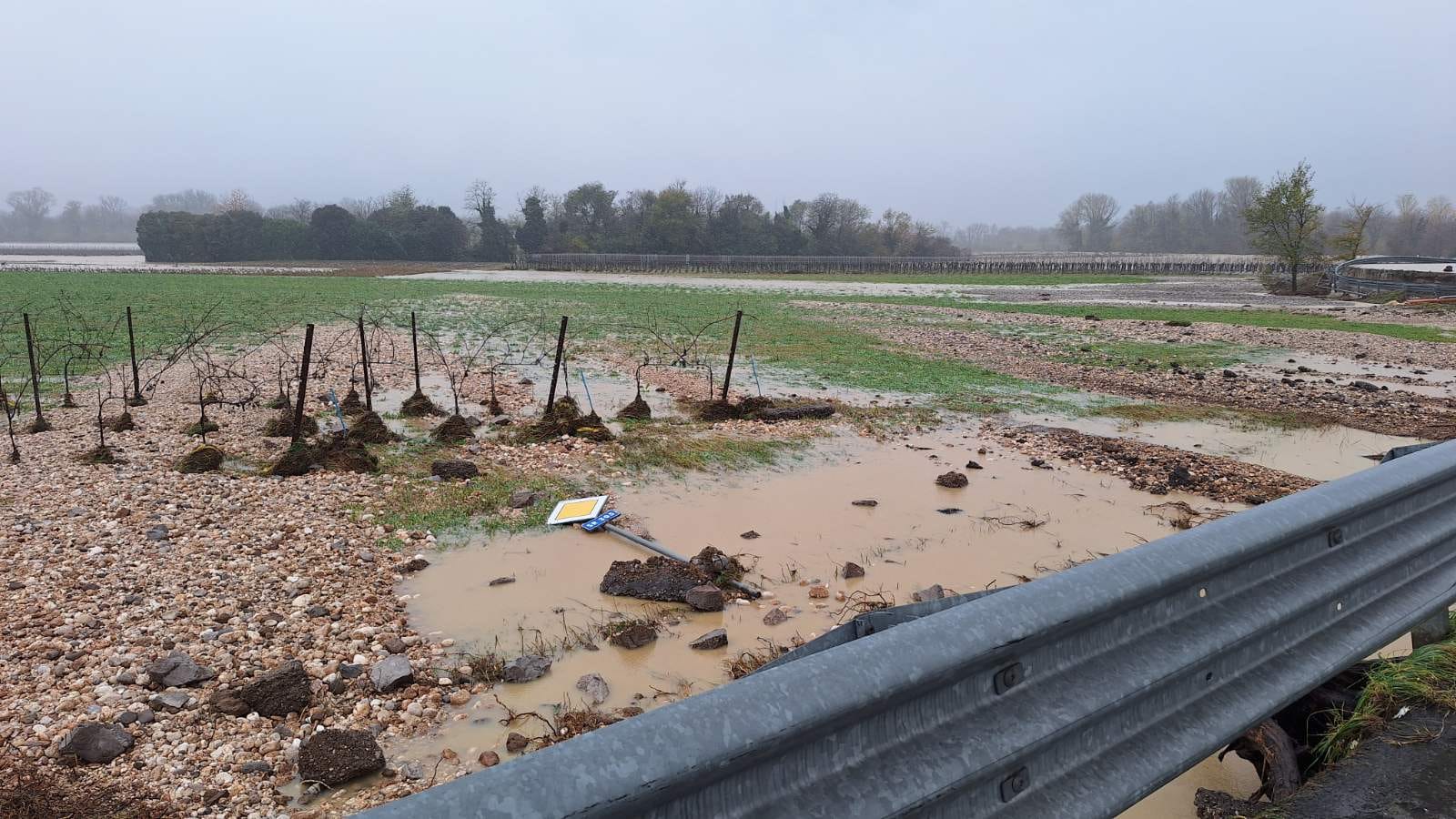 1763368012_1000023792