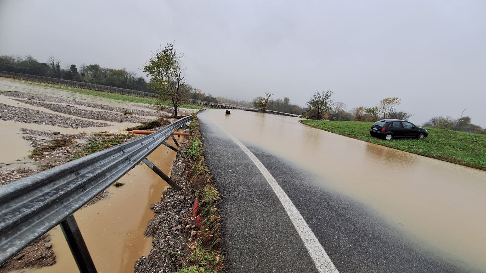 1763368033_1000023789