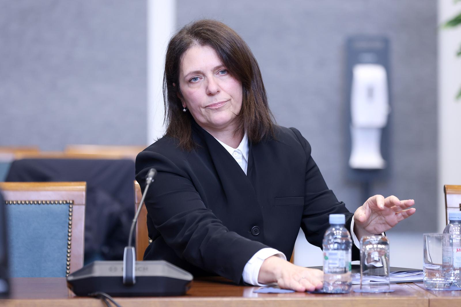 mirta matić pred odborom za pravosuđe