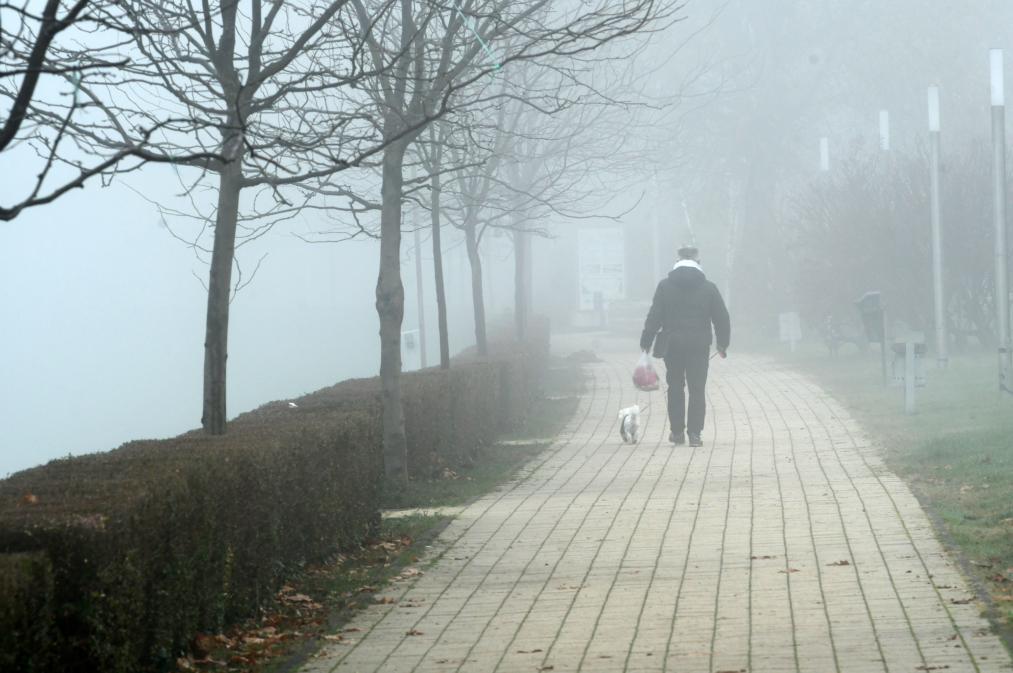 04.11.2025., Sisak - Magla se dugo zadrzala na gradskim ulicama. Photo: Nikola Cutuk/PIXSELL