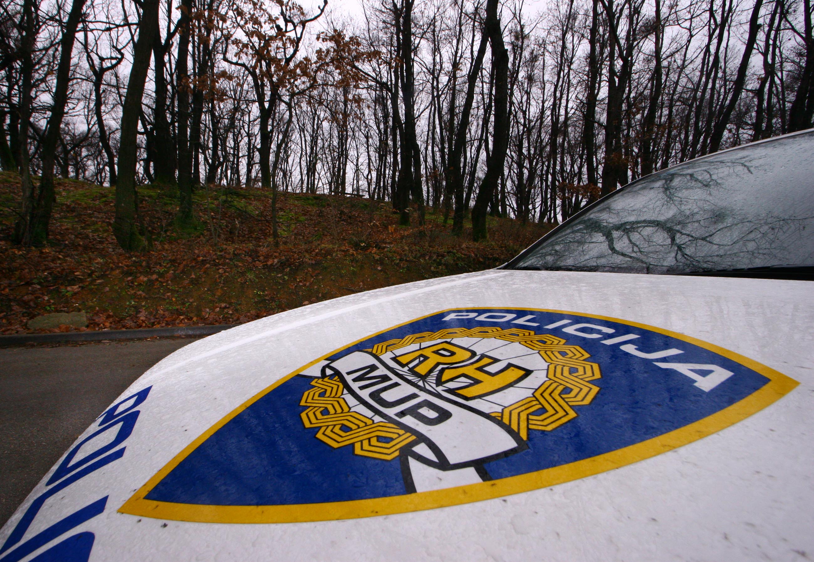 PXL_011225_142753719