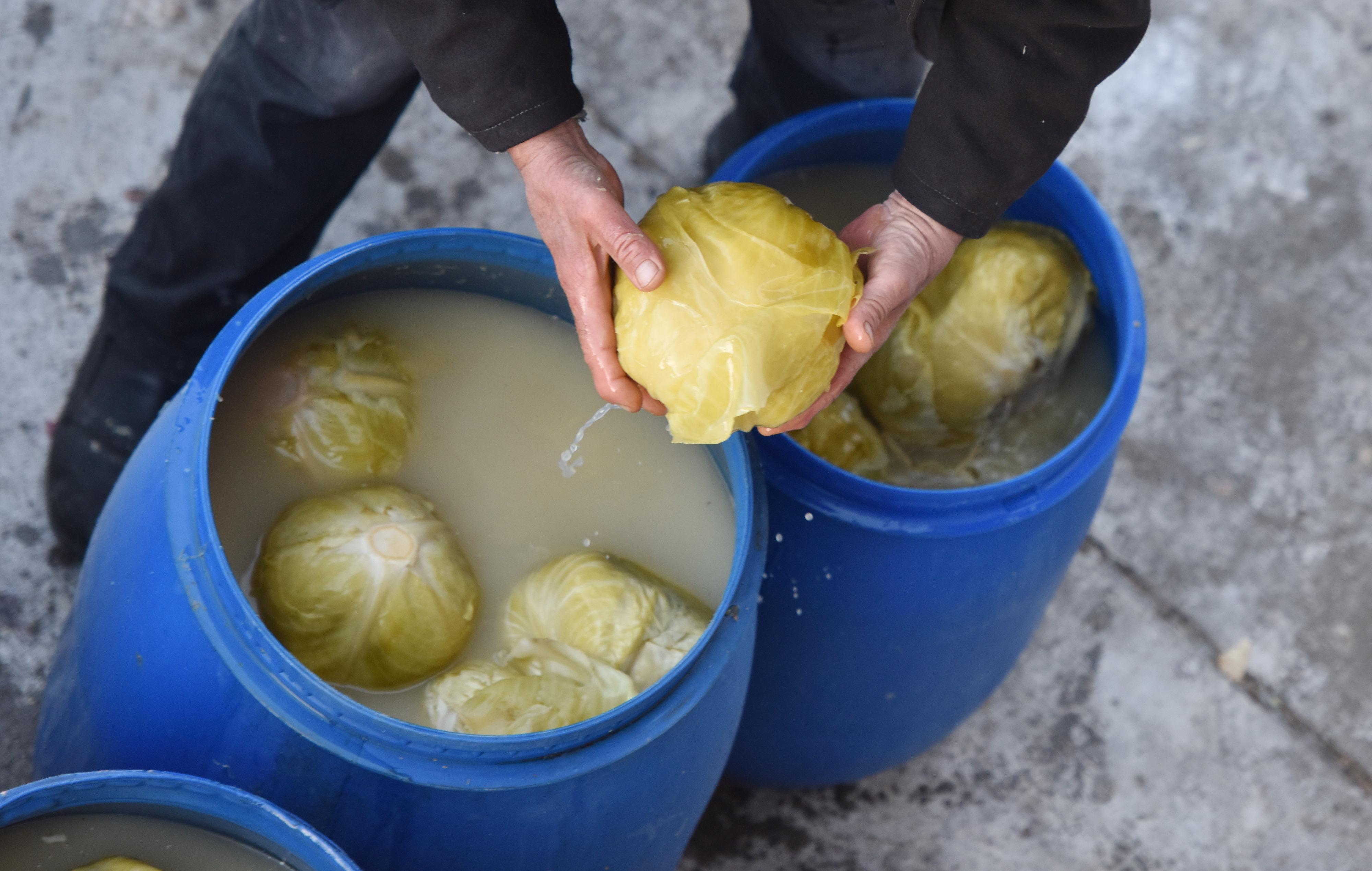 02.01.2017., Sibenik - Dolaskom hladnijih vremena povecala se prodaja kiselog kupusa na sibenskoj trznicirPhoto: Hrvoje Jelavic/PIXSELL