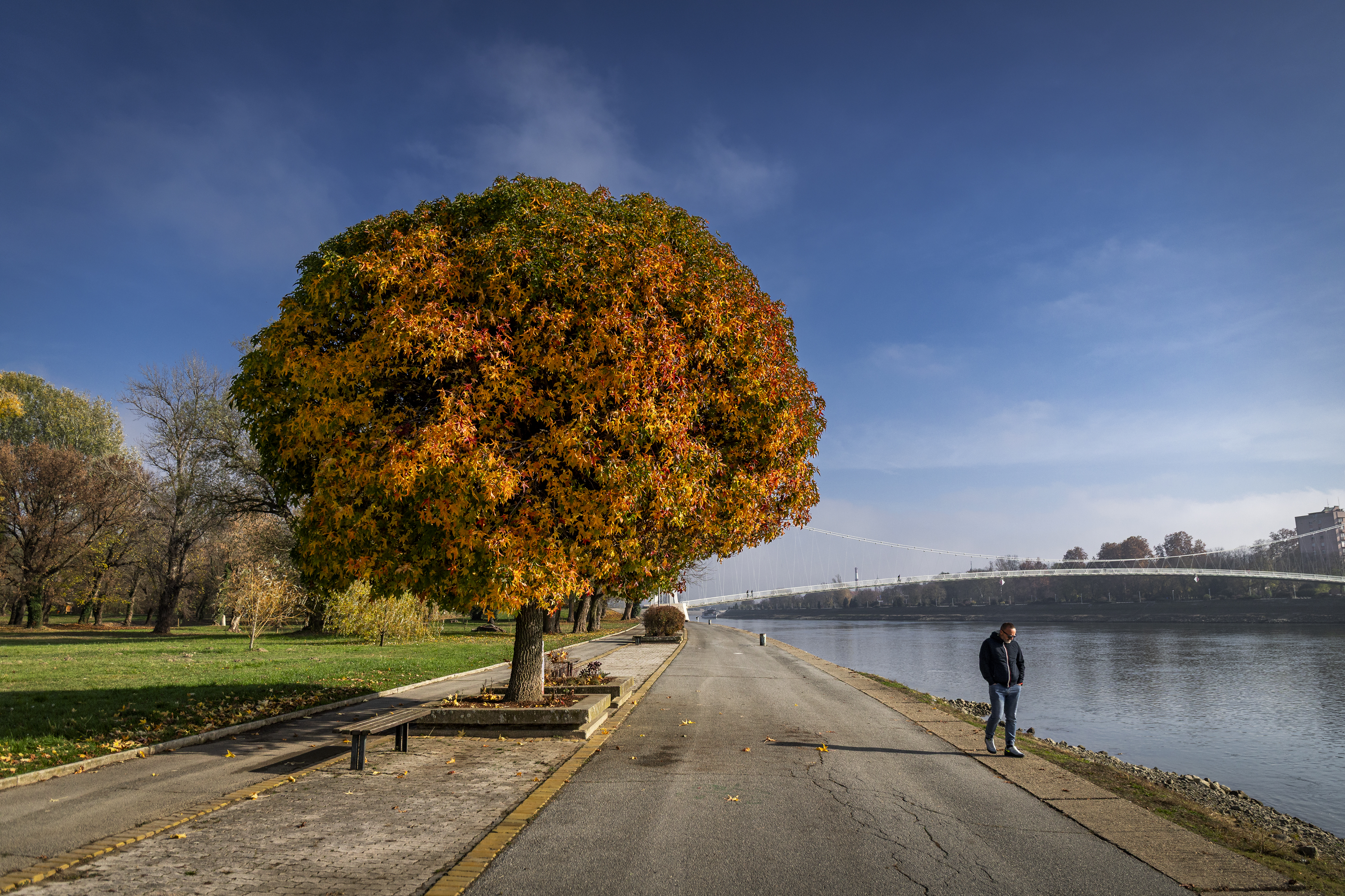 13.11.2025., Osijek - Boje jeseni na osjeckoj promenadi, nakon sto se sunce probilo kroz oblake i rastjeralo maglu Photo: Davor Javorovic/PIXSELL