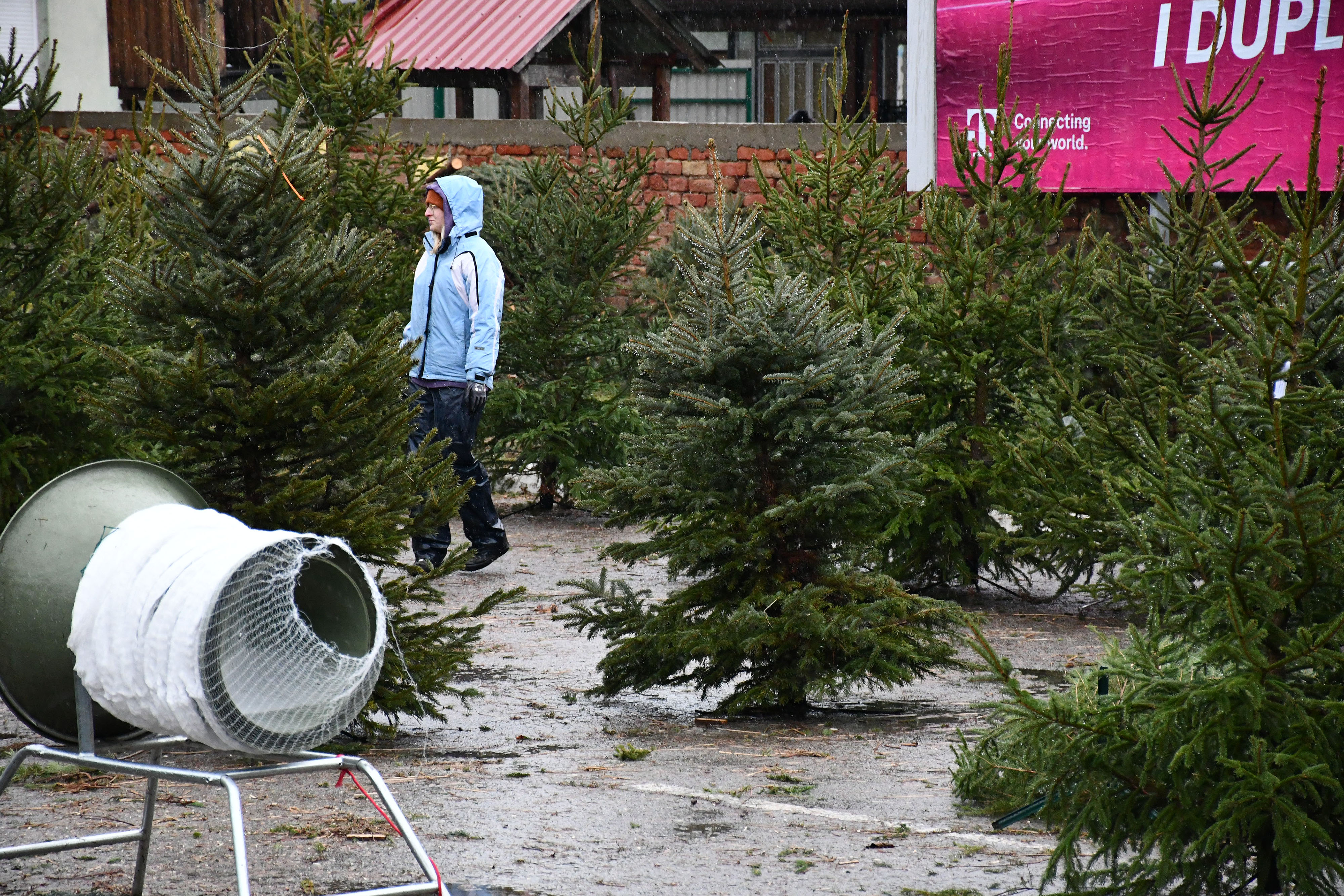 PXL_231224_125966623