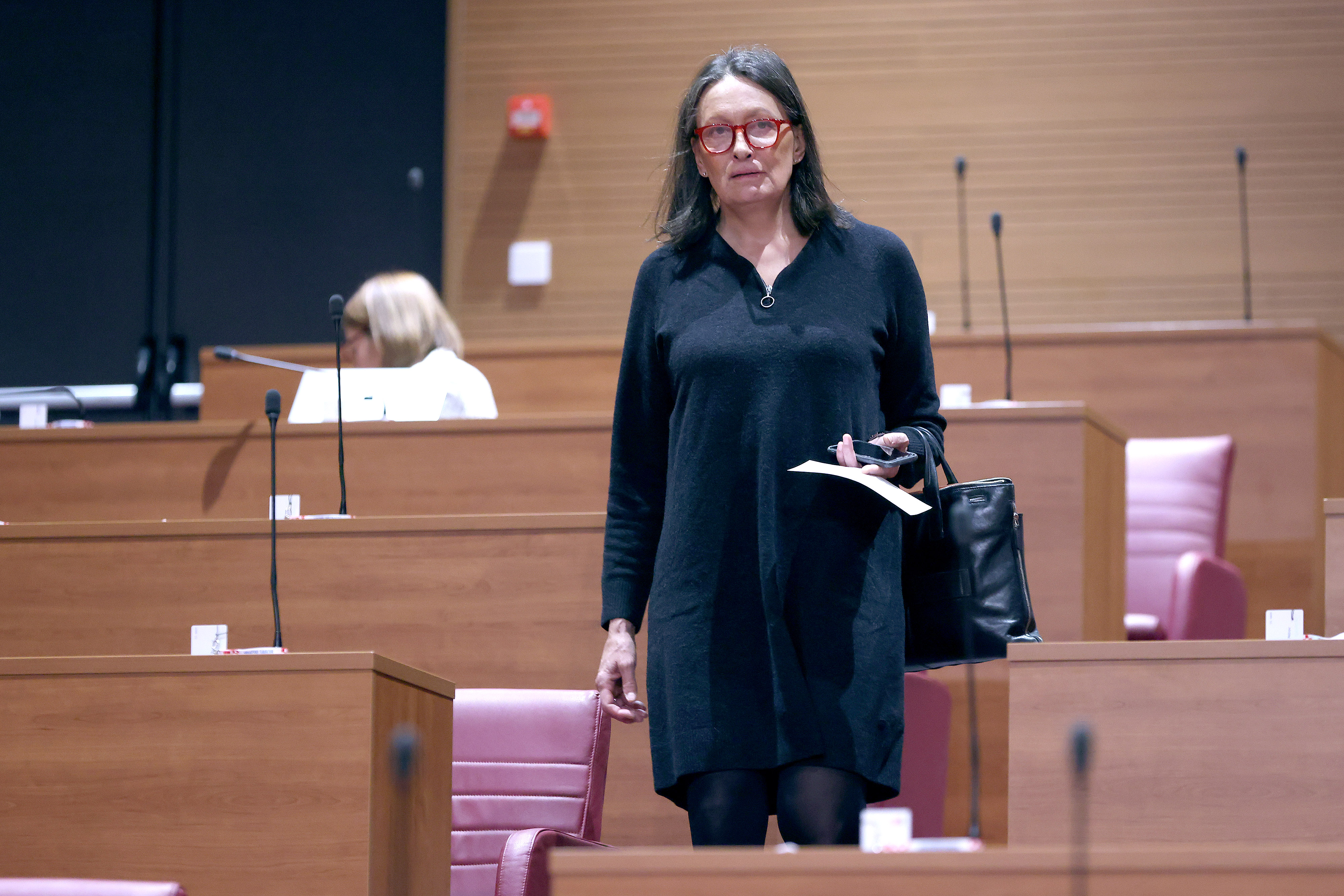 Sabor 8. sjednicu nastavlja raspravom o izmjeni Zakona o zastiti i ocuvanju kulturnih dobara. Photo: Patrik Macek/PIXSELL