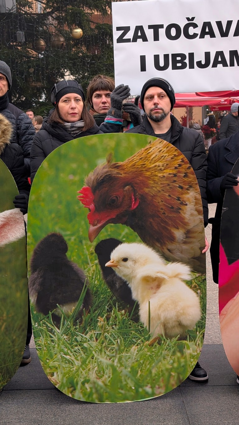 prijatelji životinja