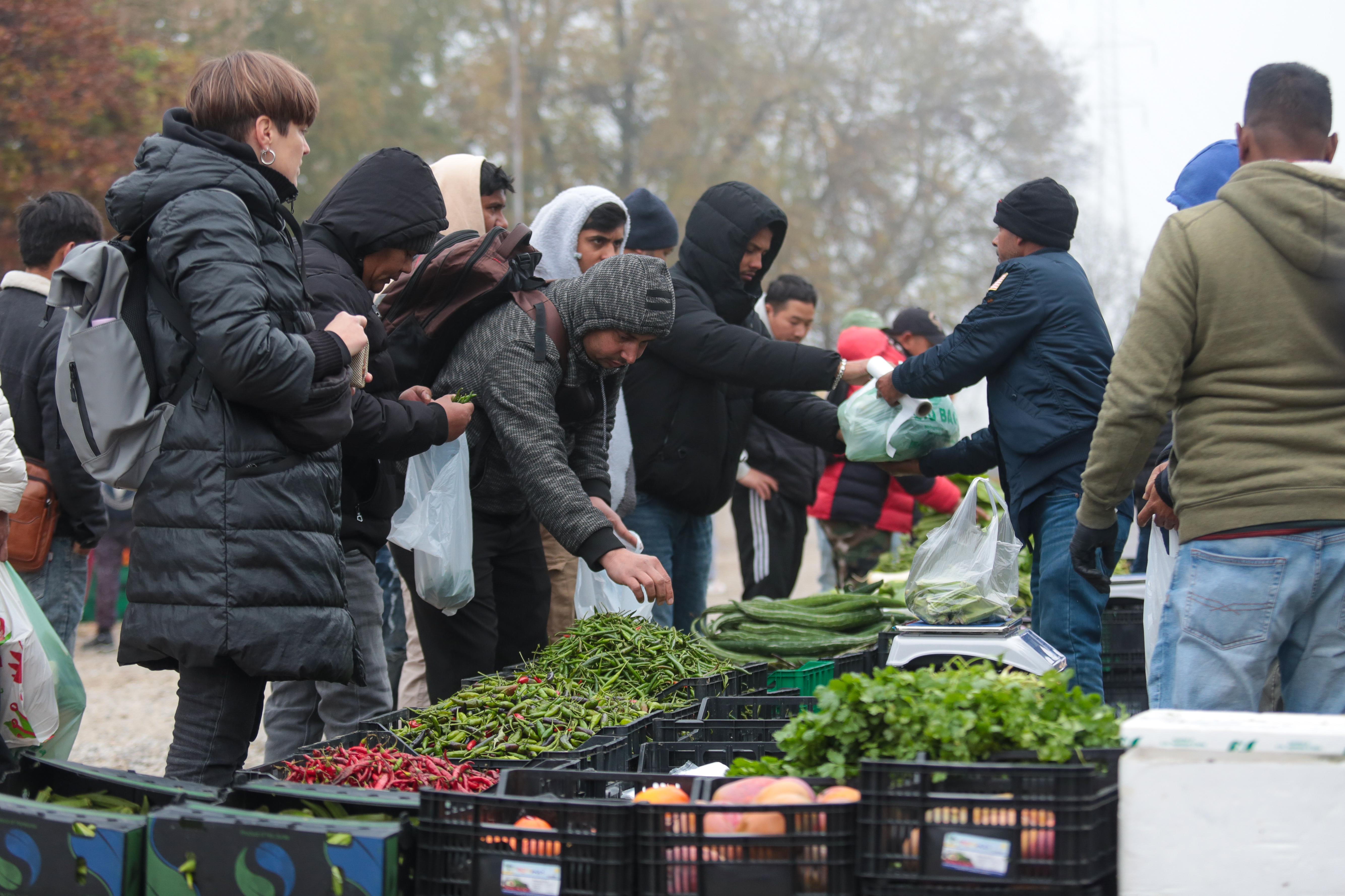strani radnici na hreliću