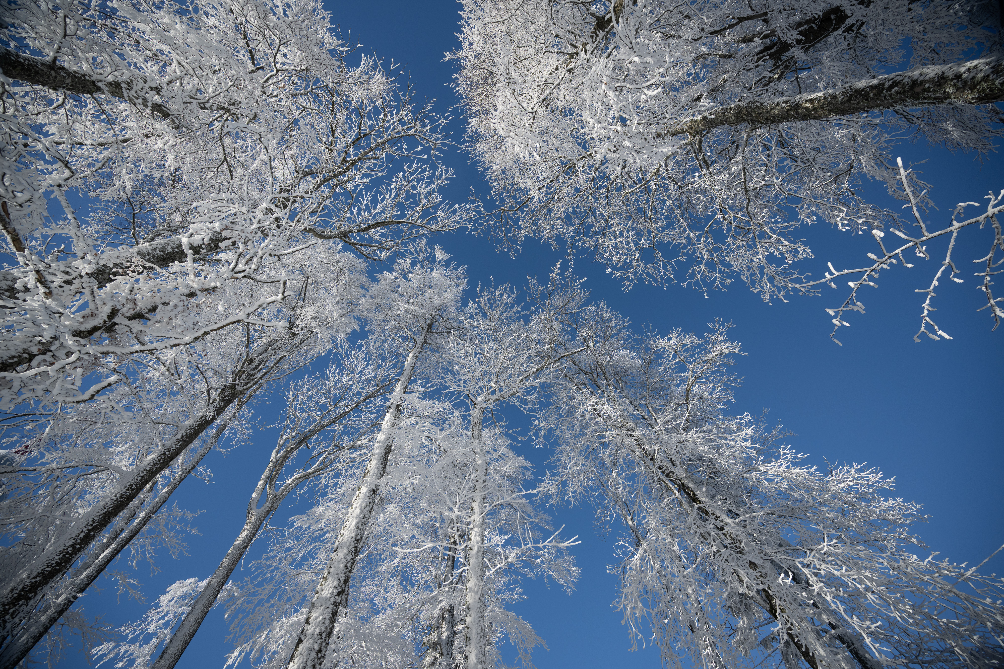 27.12.2025., Zagreb - Gradjani koji su pobjegli od zagrebacke magle na Sljemenu uzivaju u snijegu i suncanom vremenu. Photo: Davor Puklavec/PIXSELL