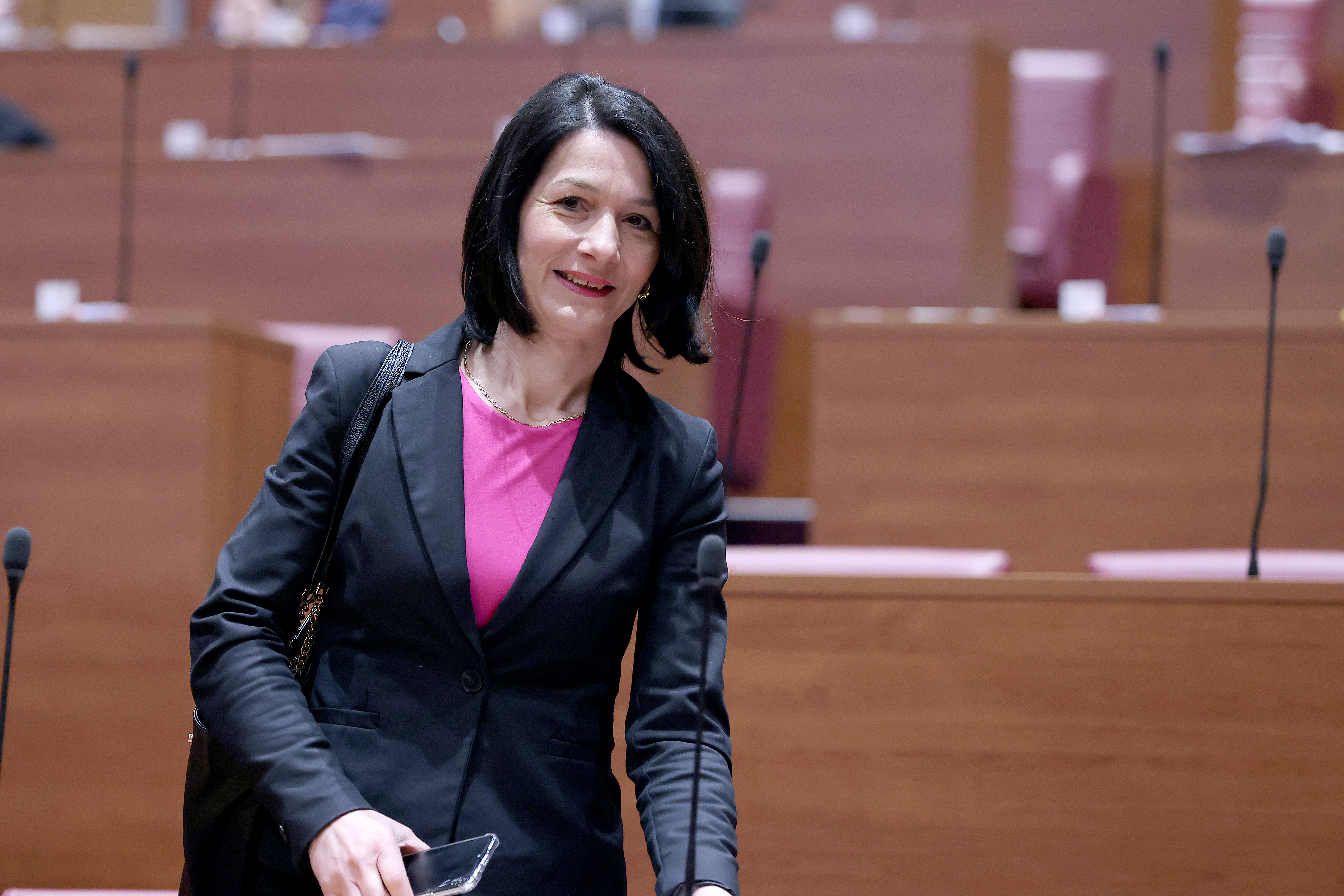 Zagreb: Sabor o prijedlogu Zakona o logopedskoj djelatnosti