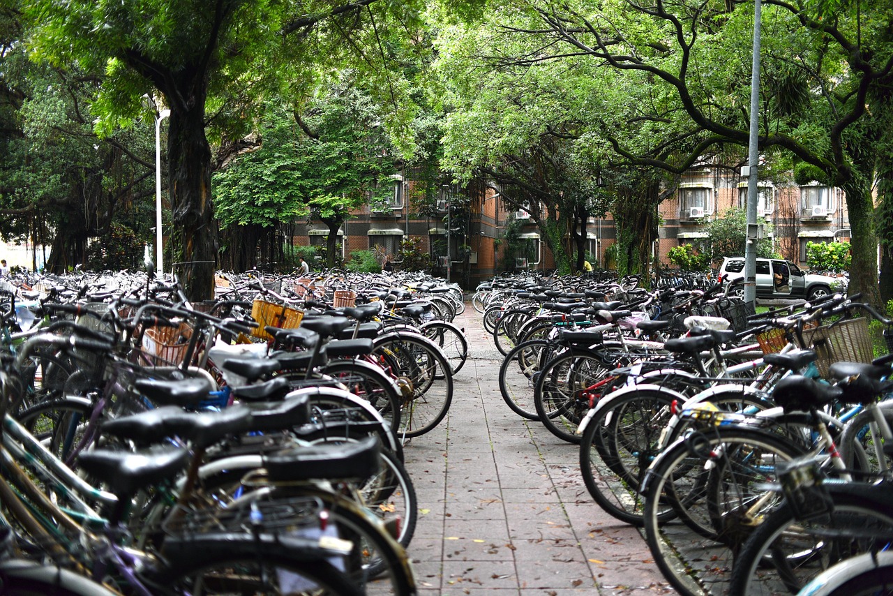 bicikli, biciklistička staza, bicikl,