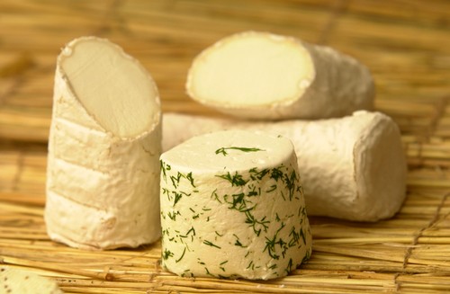 NEALS YARD CREAMERY NEAR HAY ON WYE HEREFORDSHIRE PRODUCTS DILL PERROCHE GOATS MILK CHEESE CENTRE AND RAGSTONE GOATS MILK