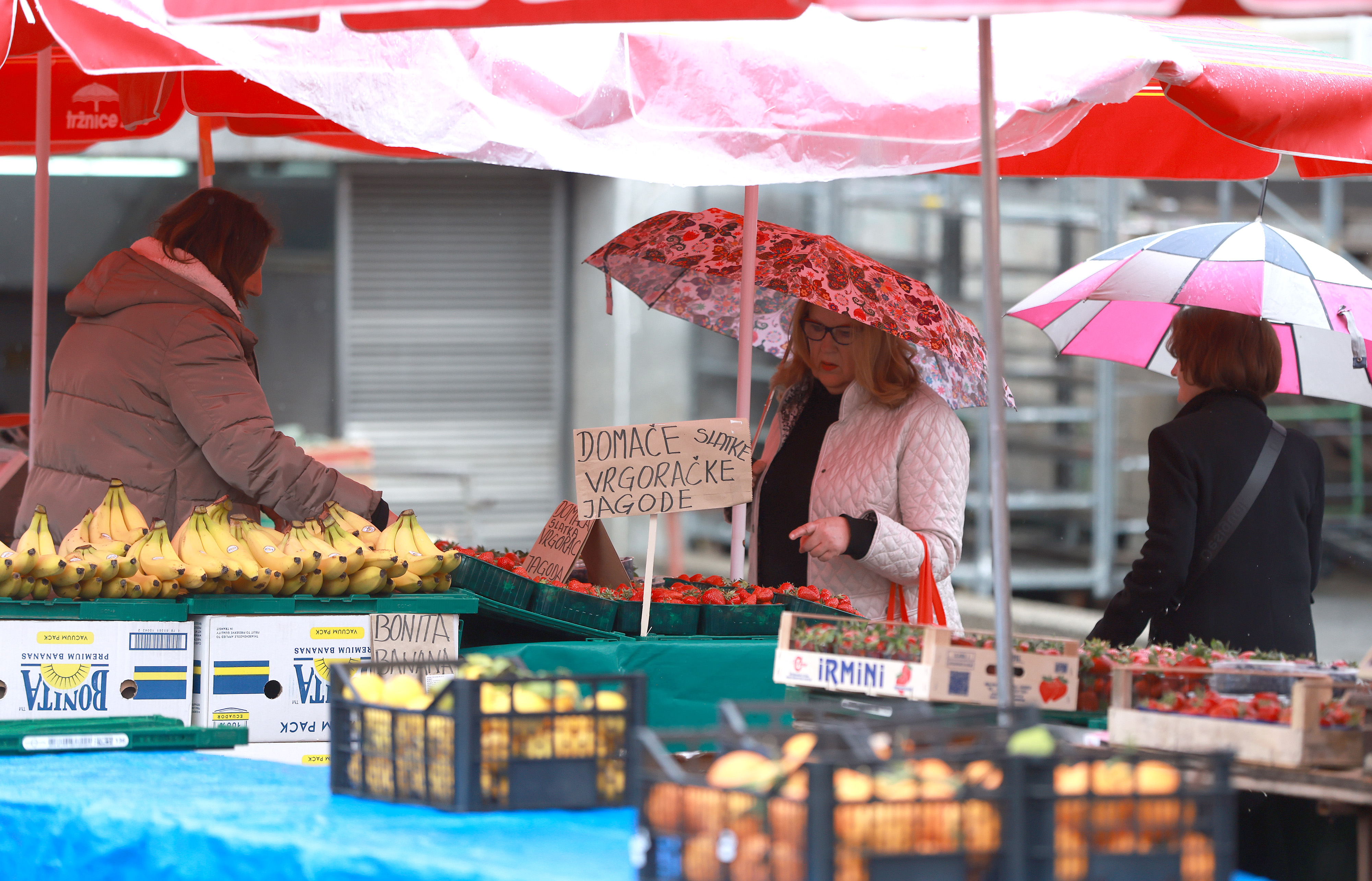 Zagreb: Ponuda vrgoračkih jagoda na tržnici Dolac