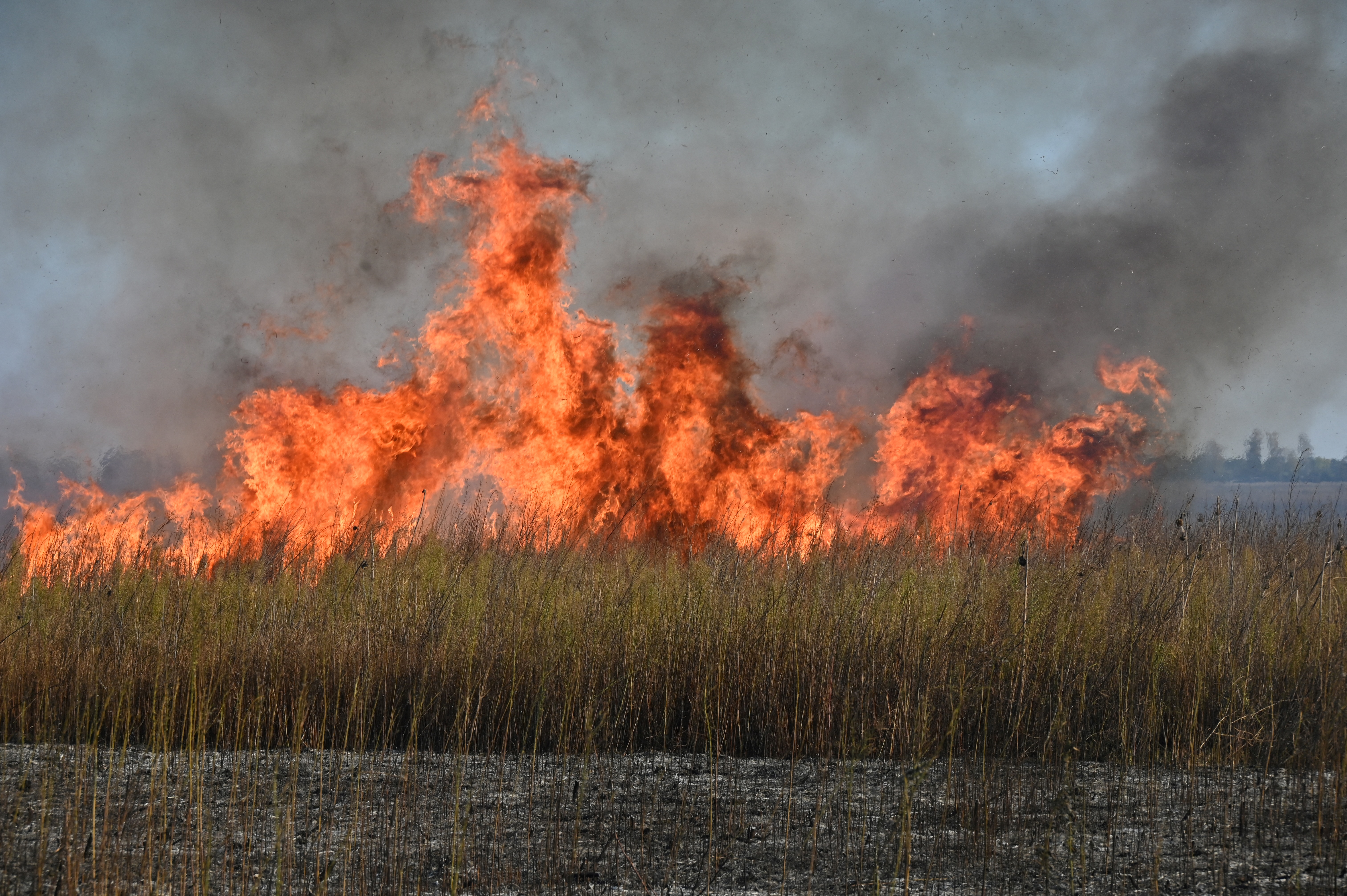 Protupješačke mine