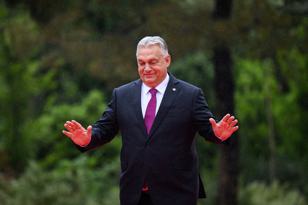 VIKTOR ORBAN, AFP