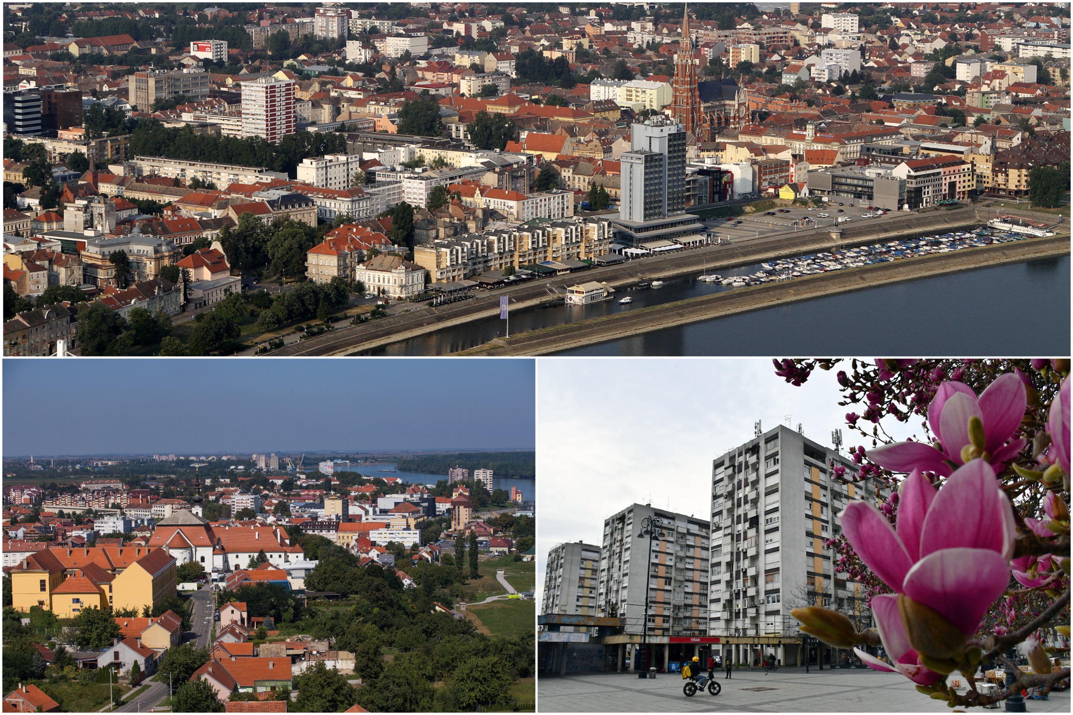 MixCollage-29-Apr-2025-03-00-PM-4765