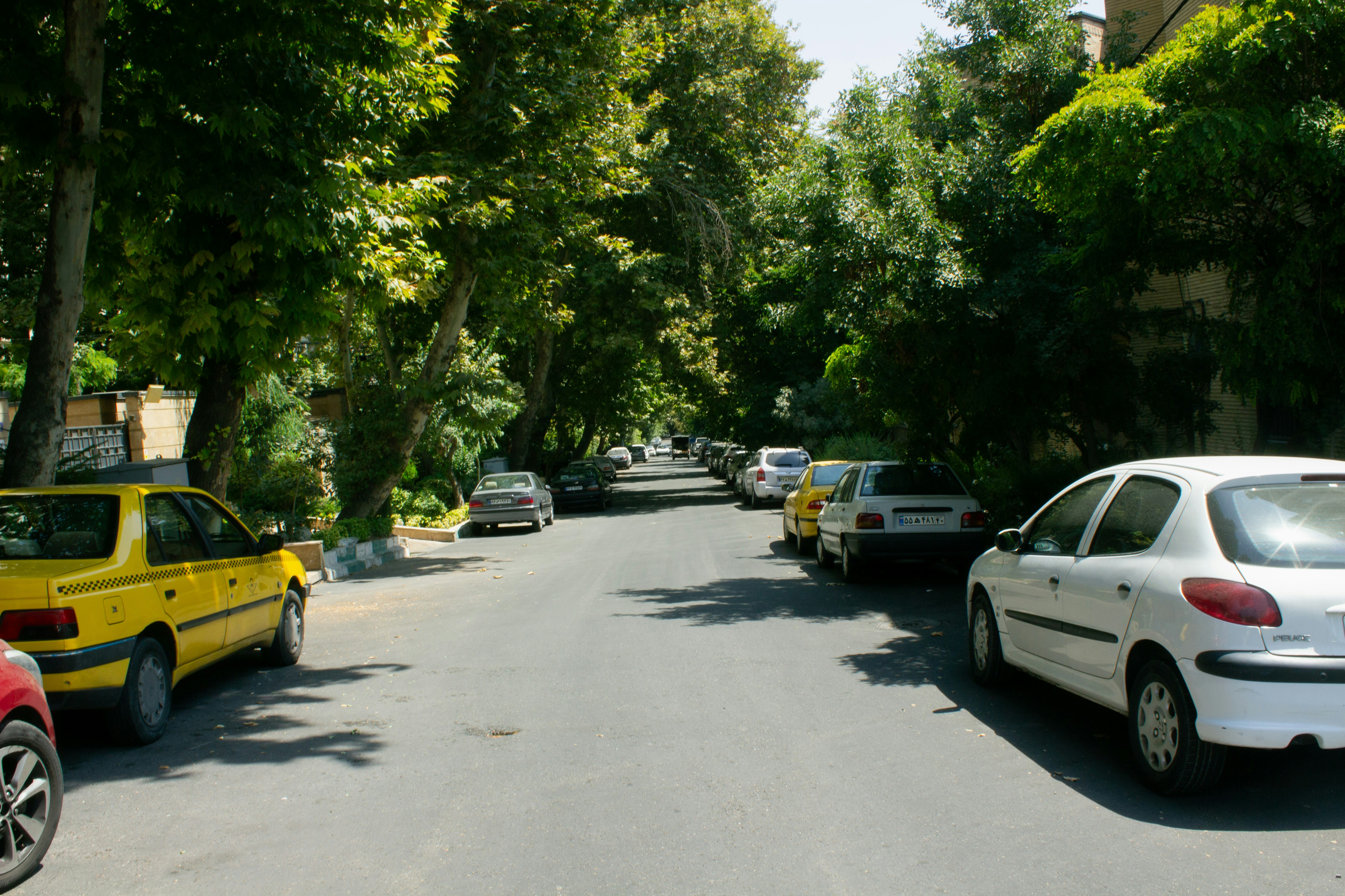 rabljeni auto, automobil, ulica, cesta