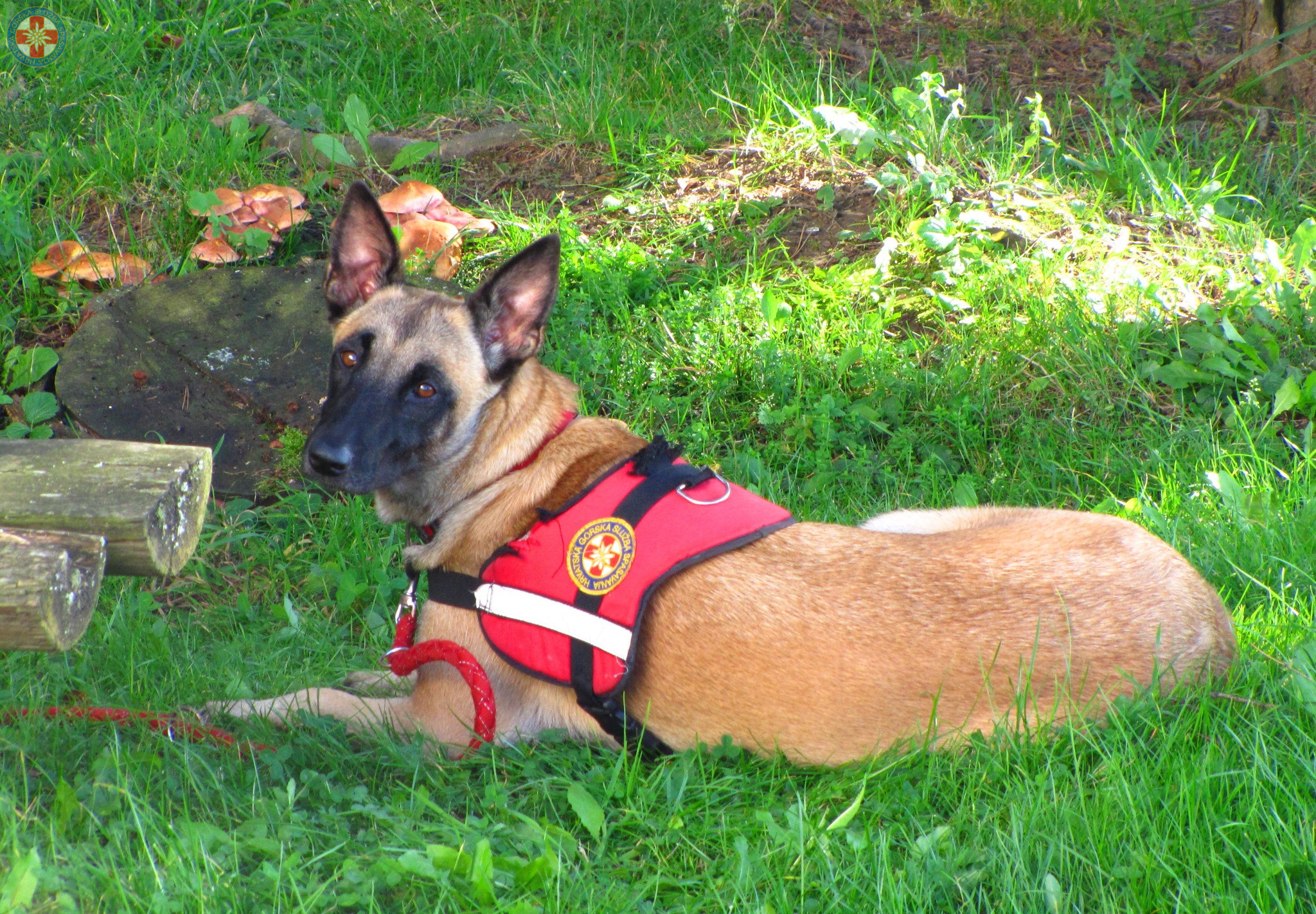 499934759_2087422345075704_821820046749545443_n