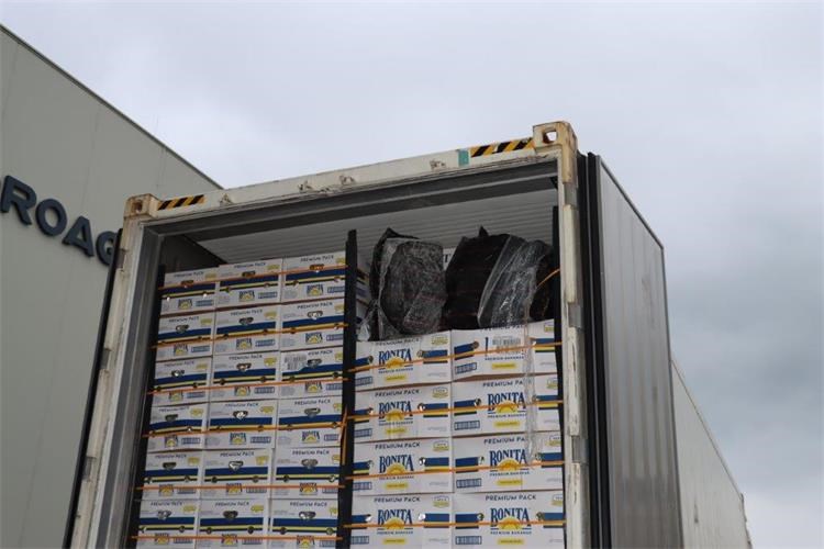 Kokain - carina (7).jpg