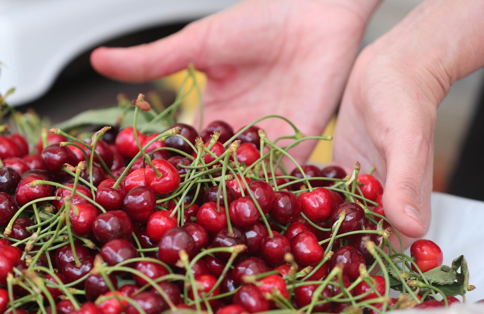 PXL_070525_132326831