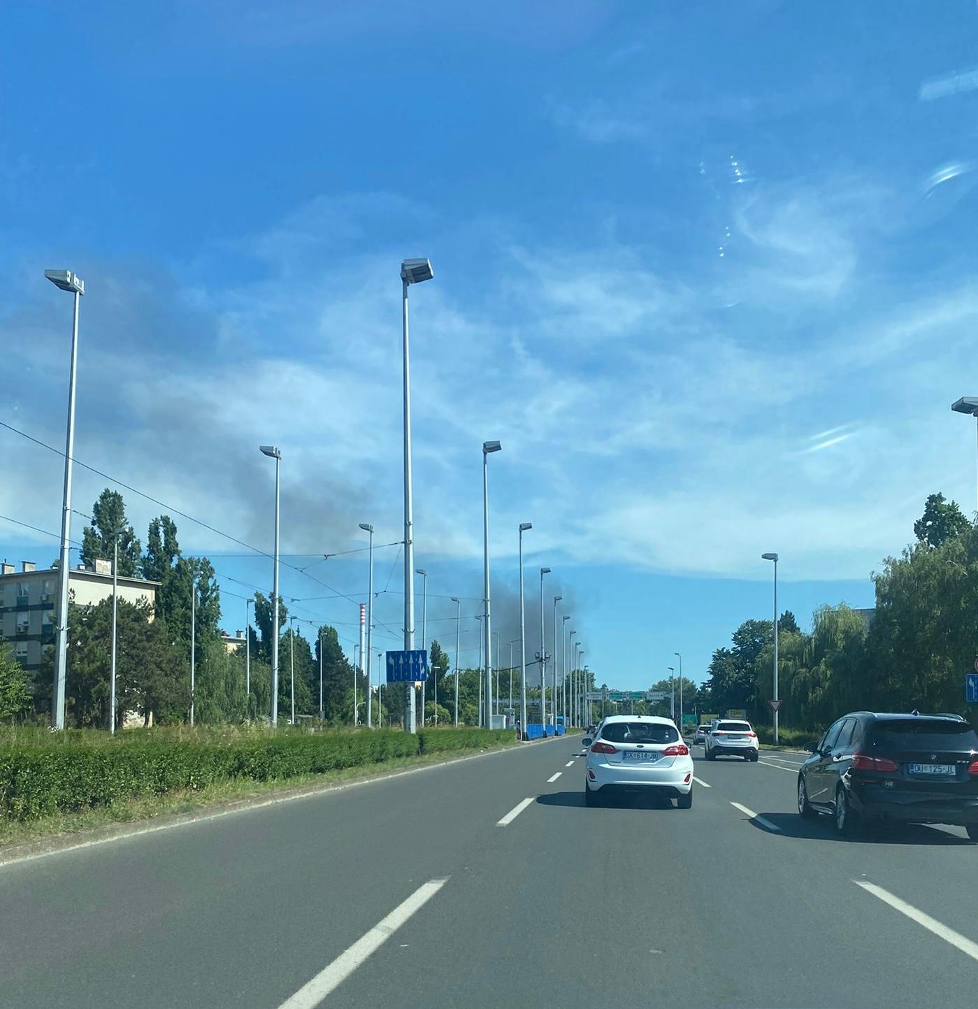 WhatsApp Image 2025-06-01 at 15.54.27