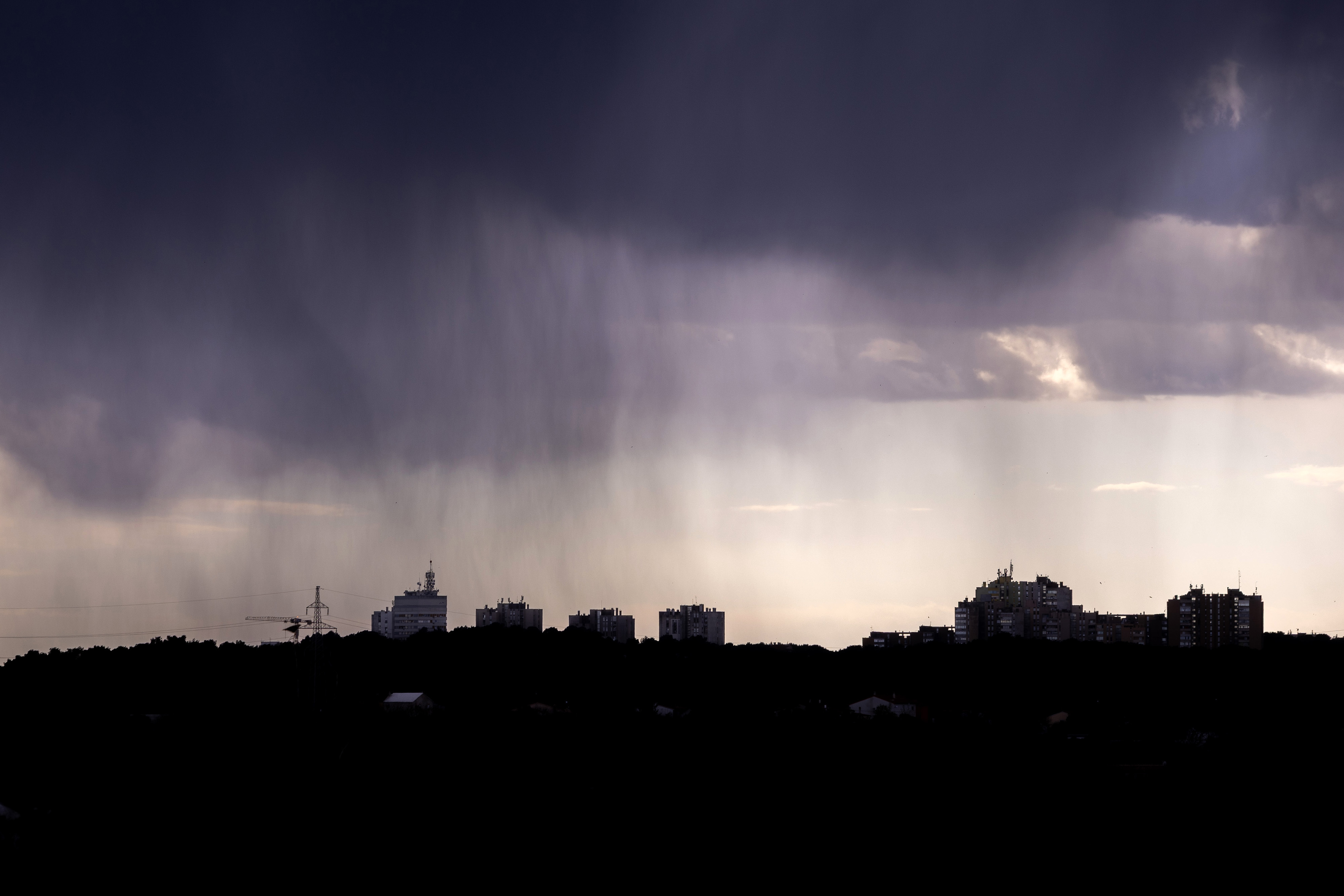 PXL_310325_130579859