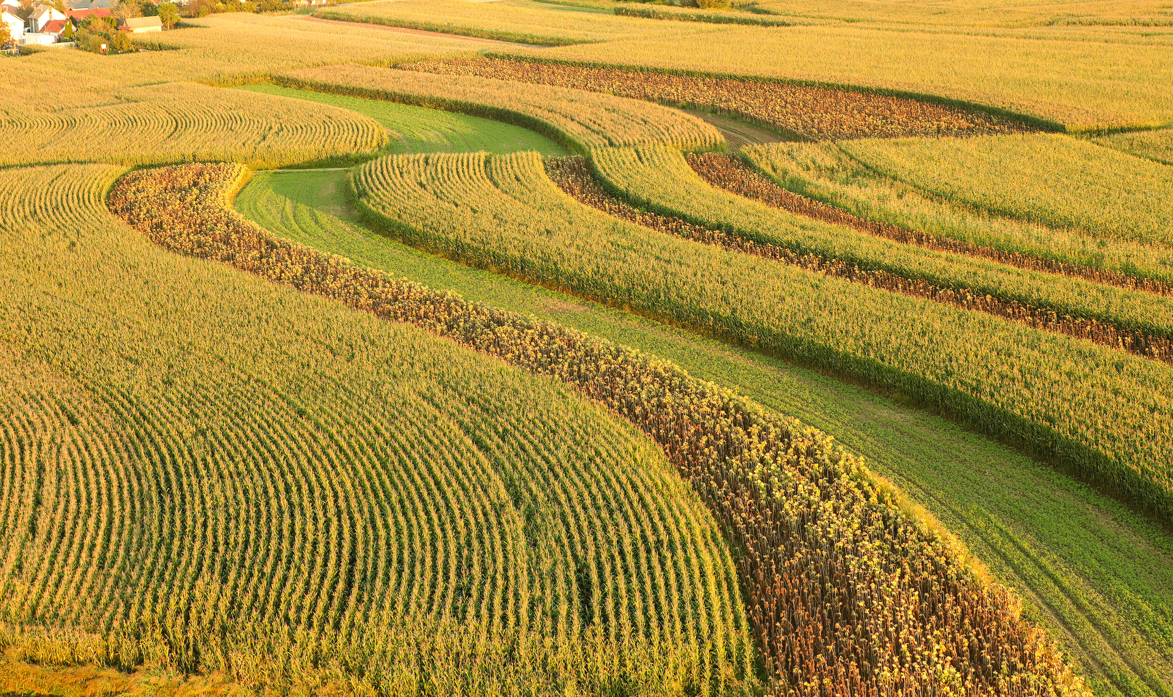 PXL_020923_102784620 (1)