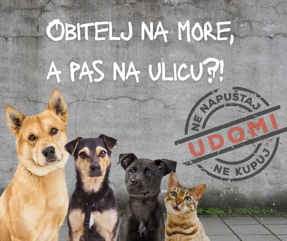 Prijatelji životinja_Obitelj na more a pas na ulicu