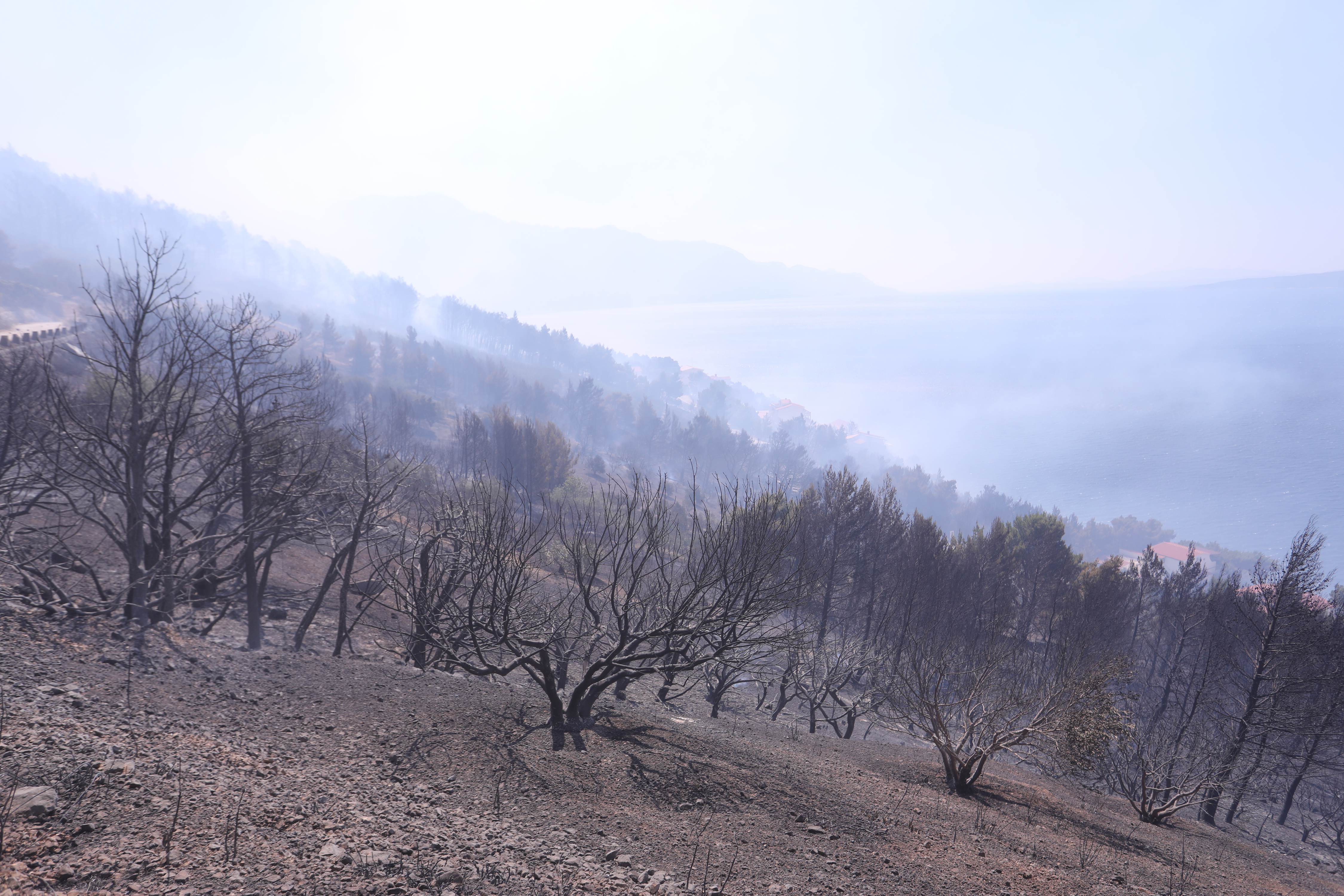 pixsell, 21.6., požar pisak