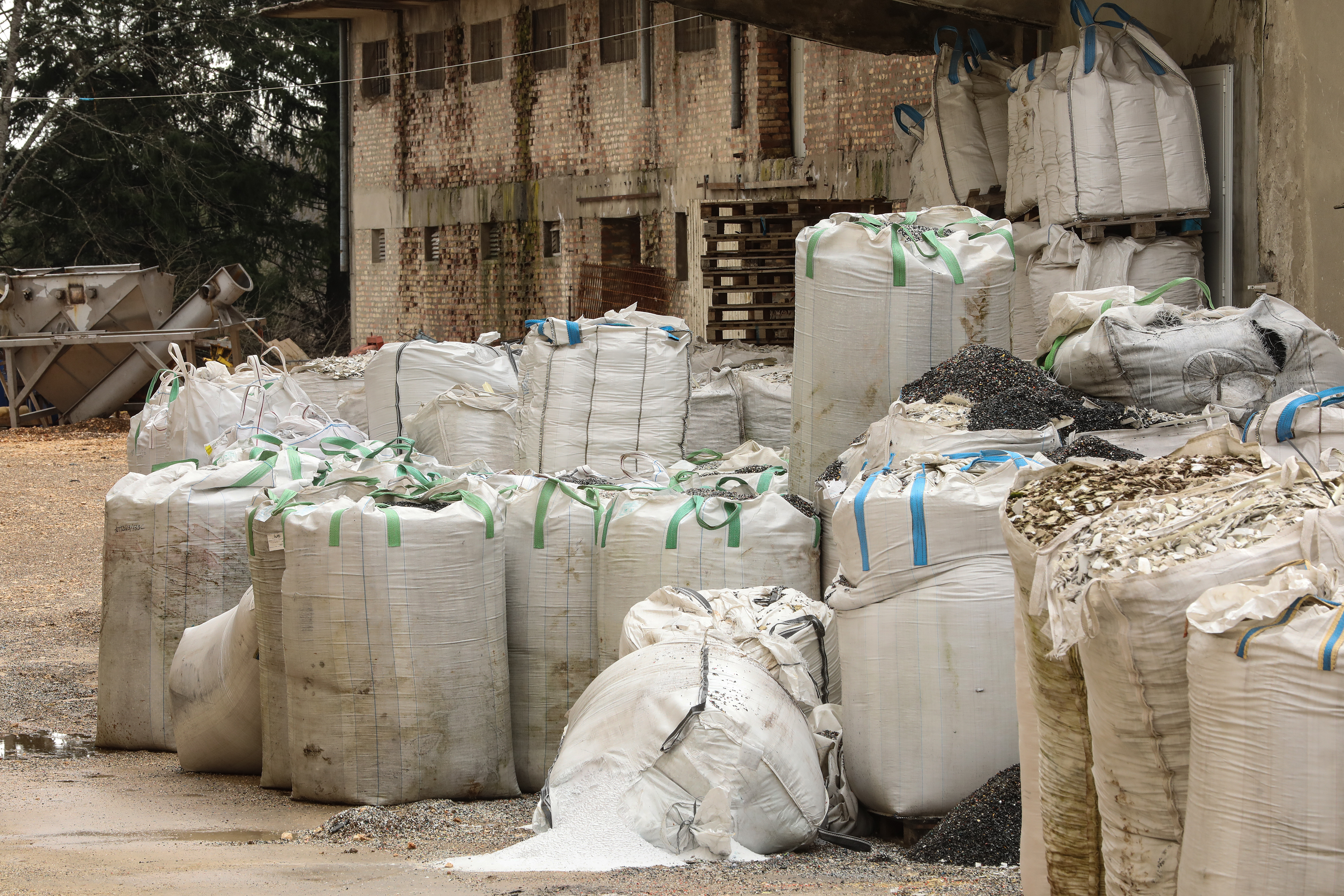 PXL_260225_128930466